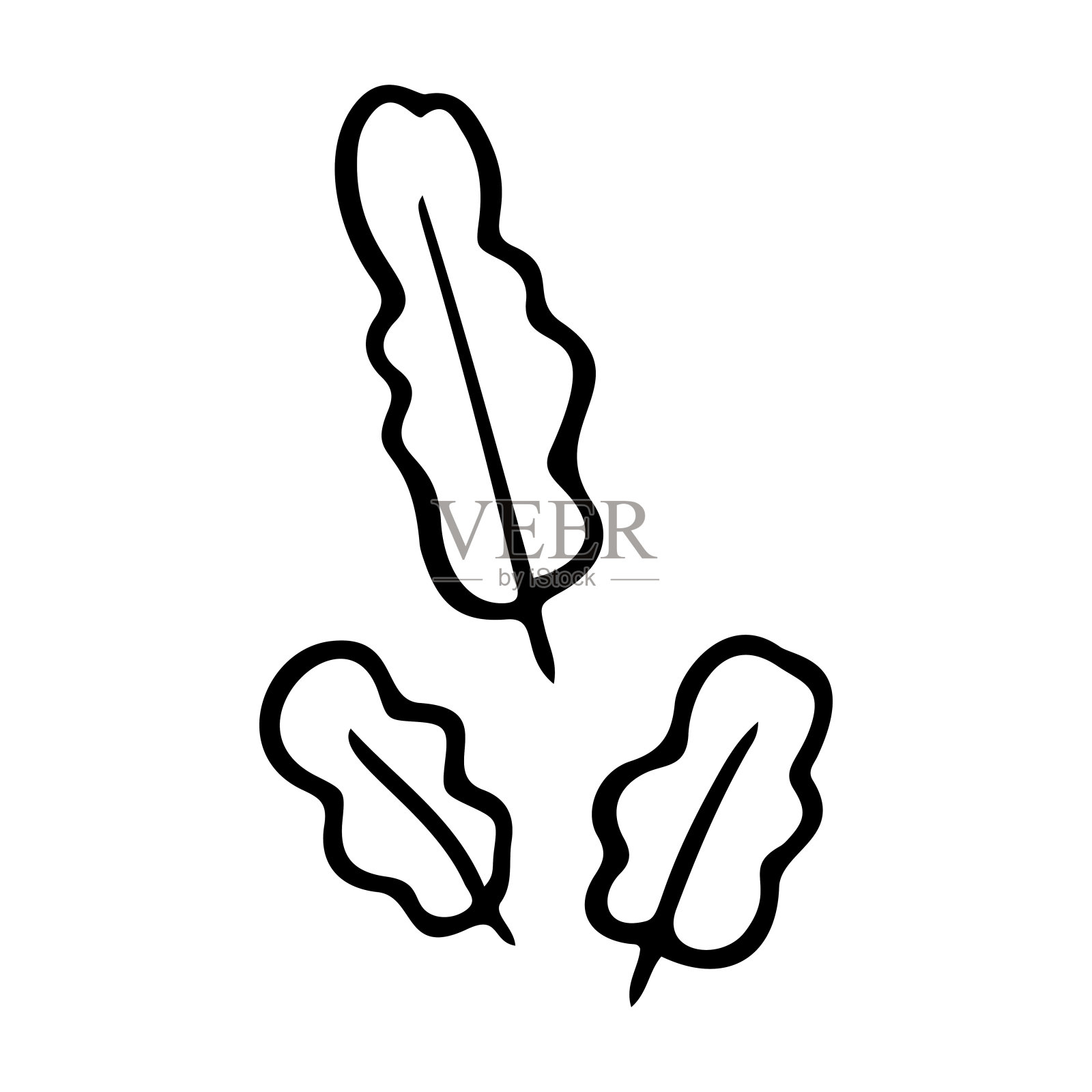 热带草，叶子风格化矢量插图。涂鸦插图。棕榈树雨林的叶子孤立在白色的背景上。插画图片素材