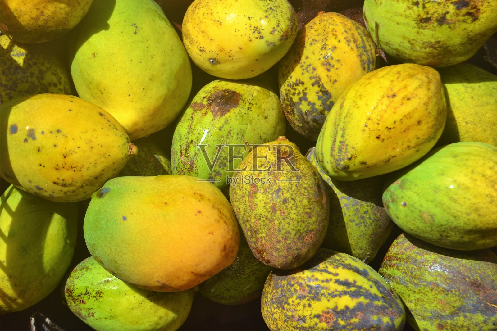 成熟的芒果埃斯帕达照片摄影图片