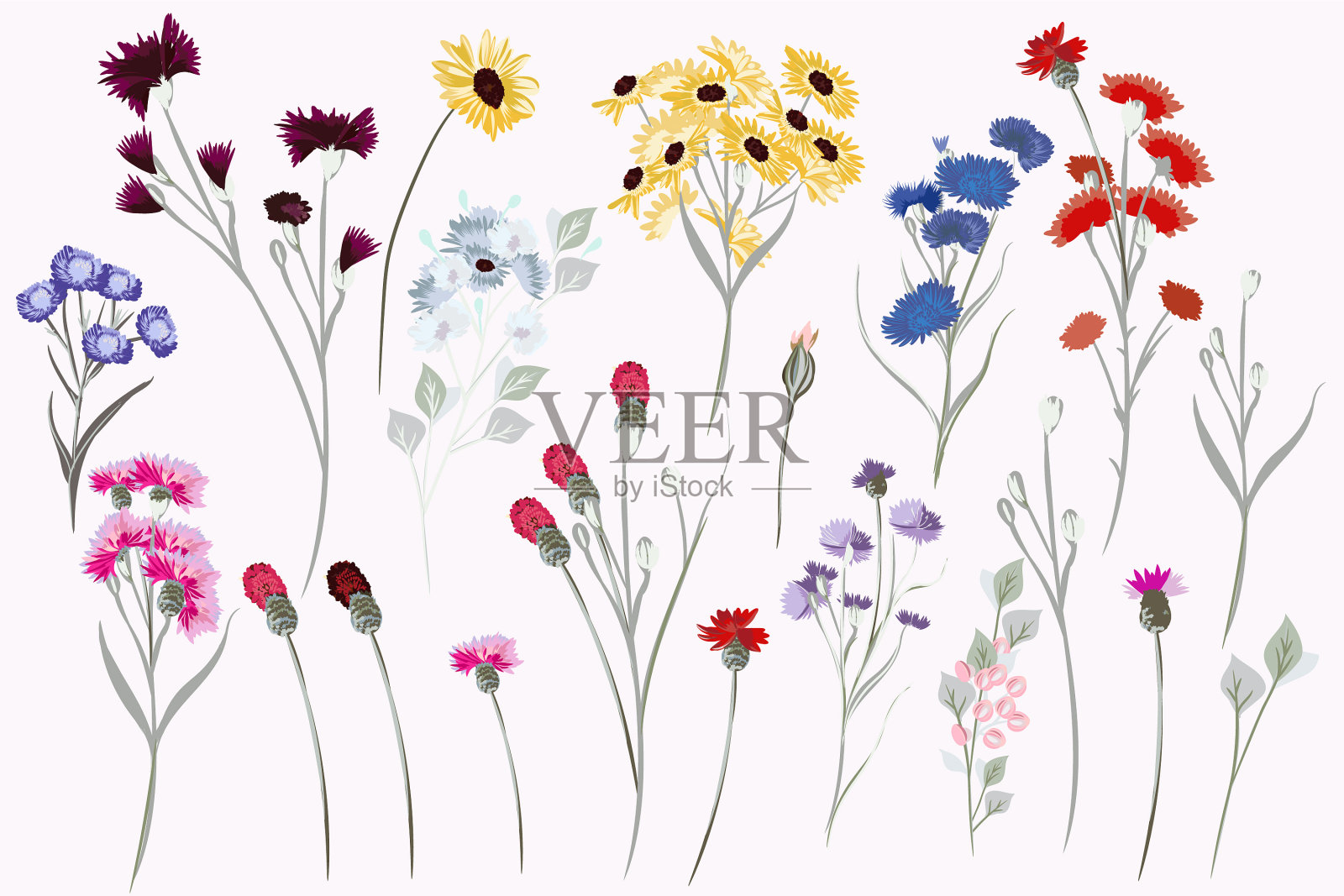 收集野外野花进行设计插画图片素材