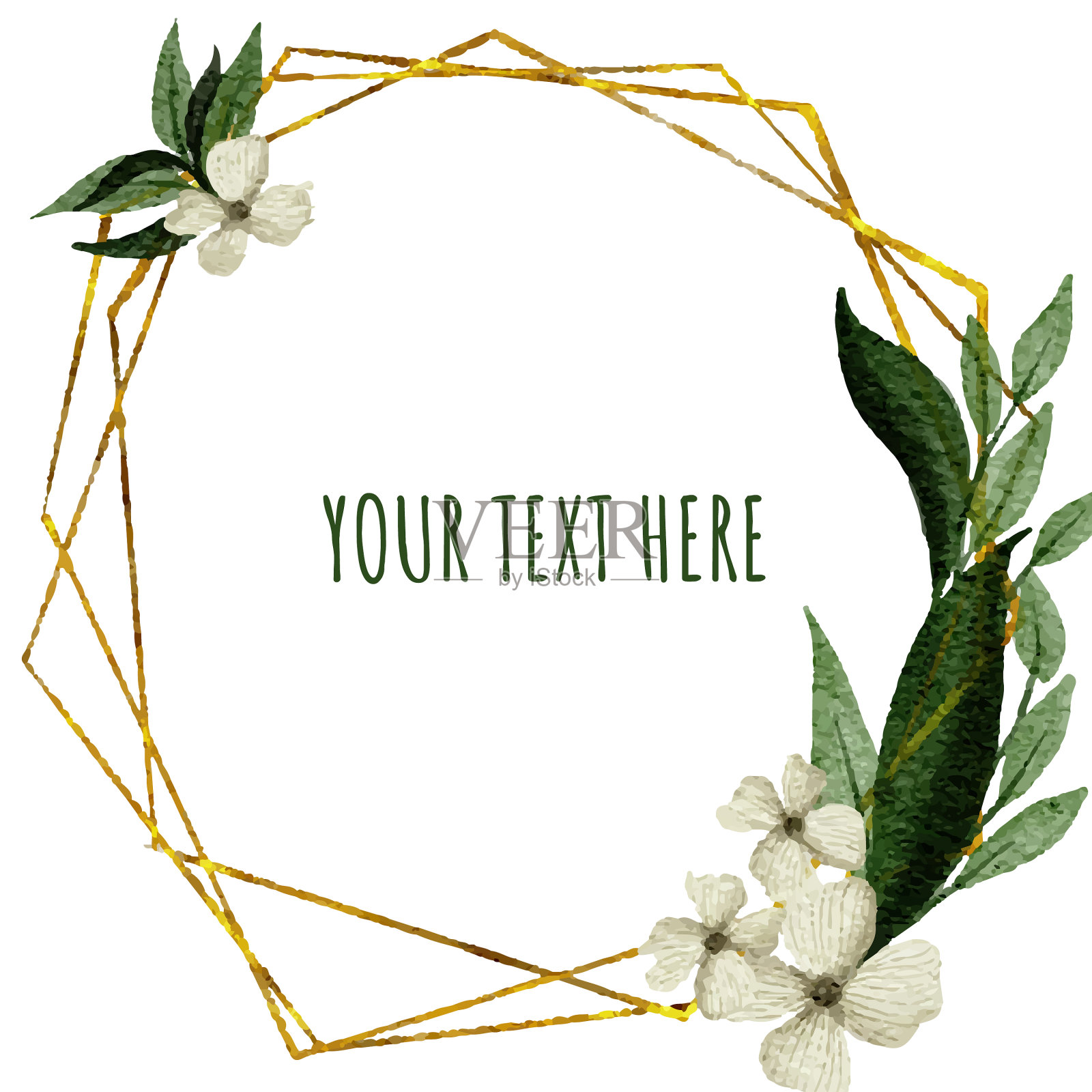 花卉水彩框架插画图片素材