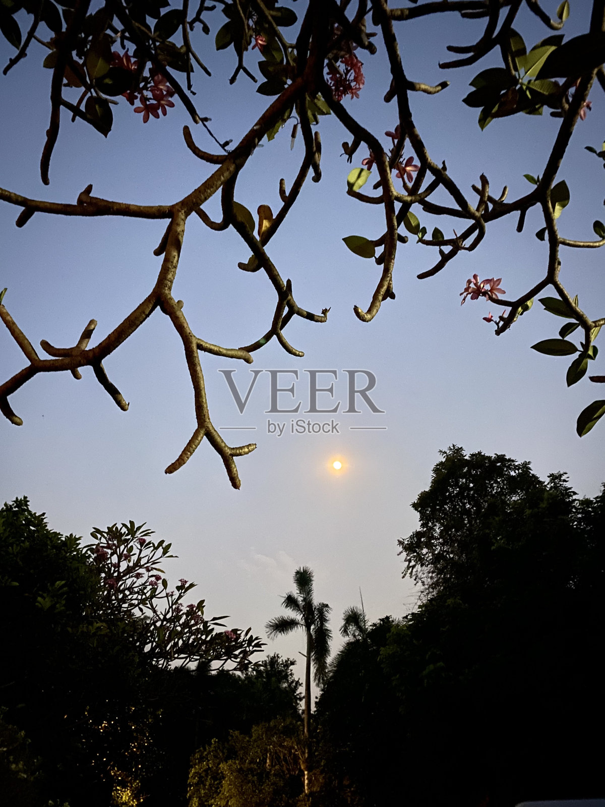 天快黑了照片摄影图片