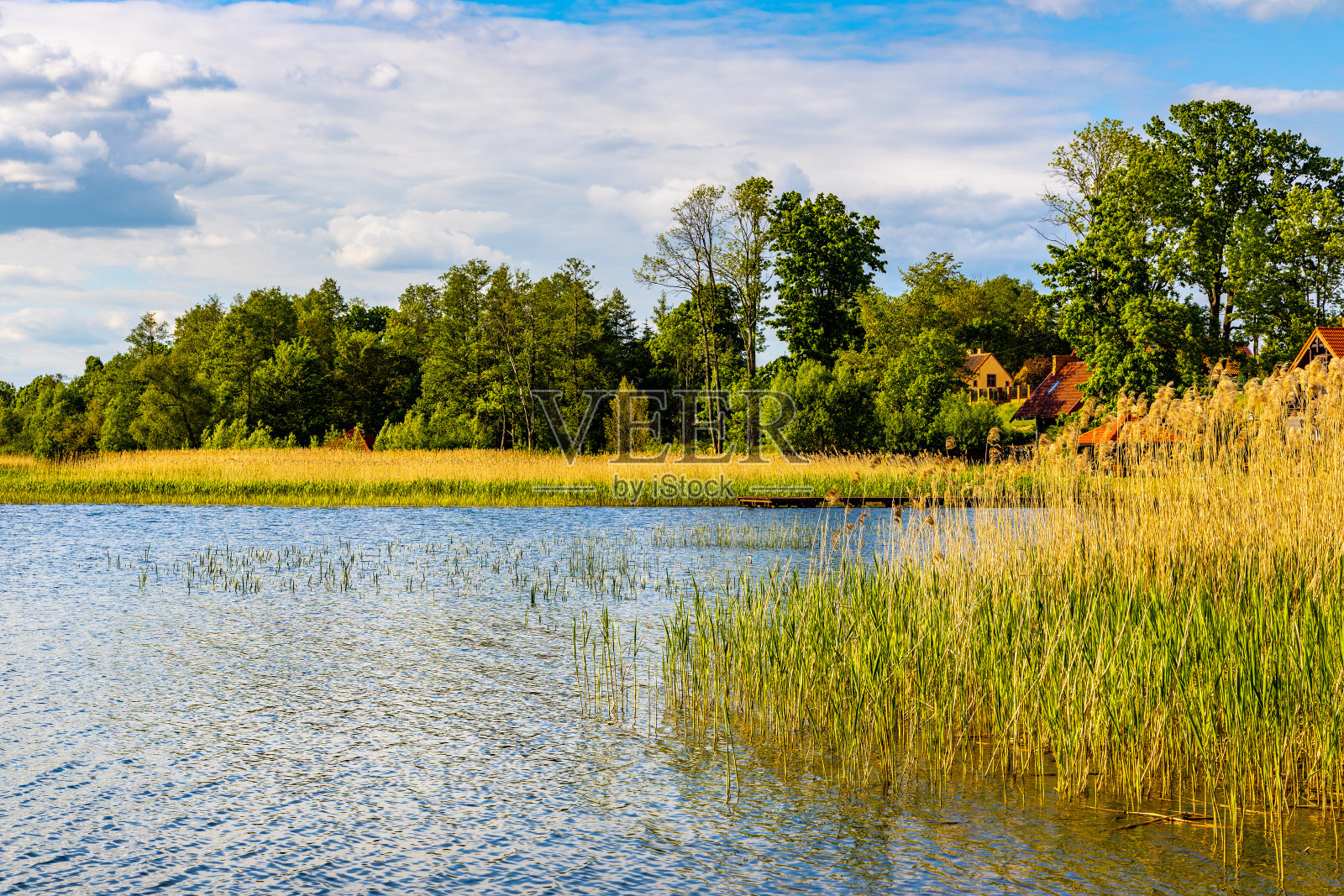 波兰Masuria地区Sedki村的Jezioro Selmet Wielki湖景观照片摄影图片