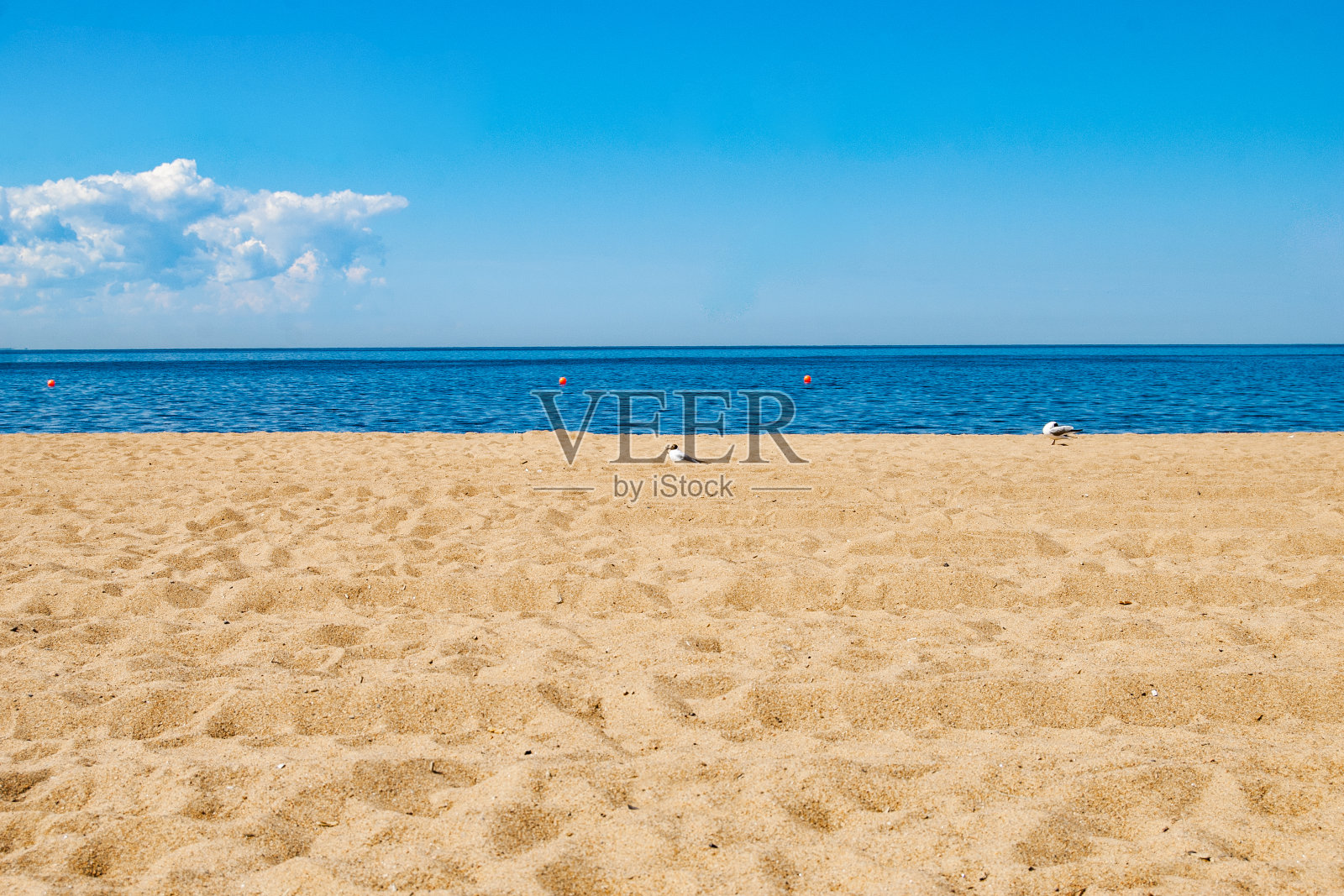 阳光灿烂的日子，芬兰湾的沙滩。波罗的海。照片摄影图片