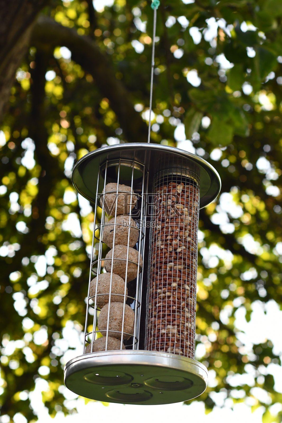 三个金属喂鸟器挂在树上照片摄影图片