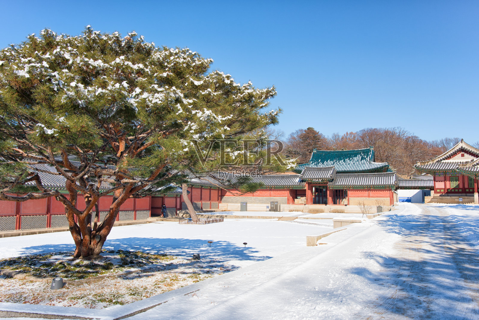 冬天在首尔照片摄影图片