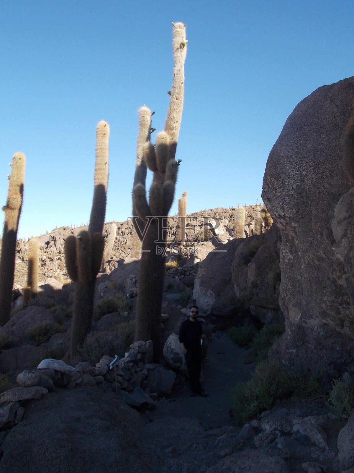萨拉尔乌尤尼 - 沙漠 - 玻利维亚照片摄影图片