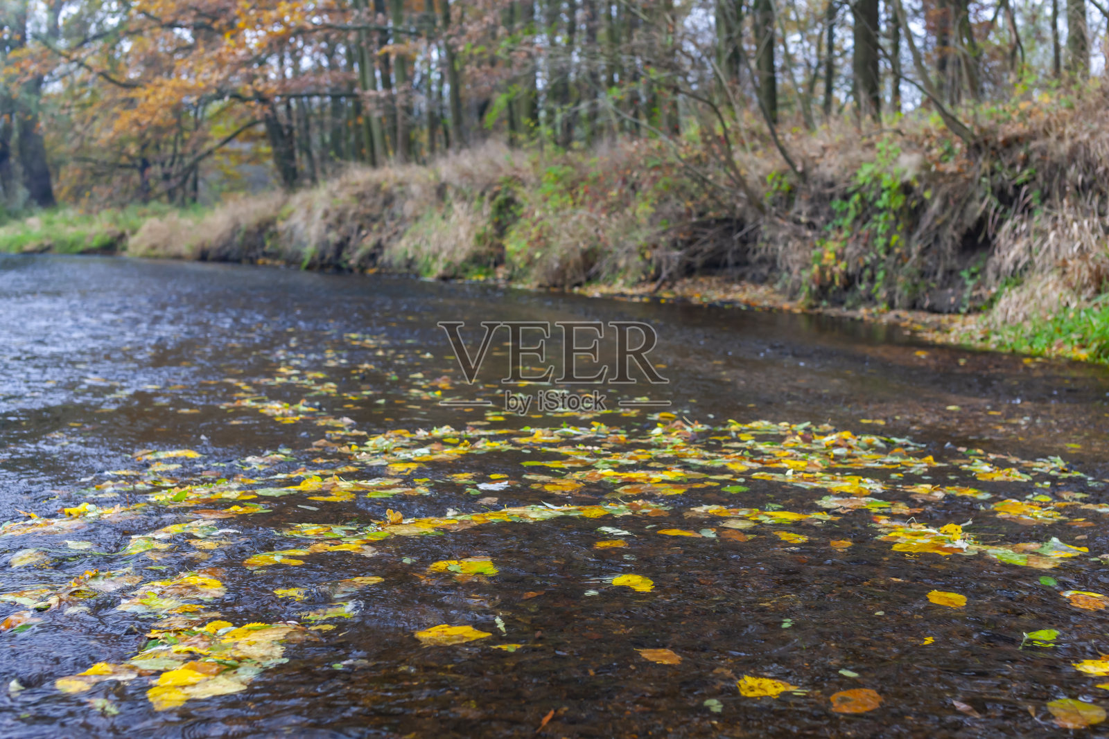 捷克南摩拉维亚的Dyje河照片摄影图片