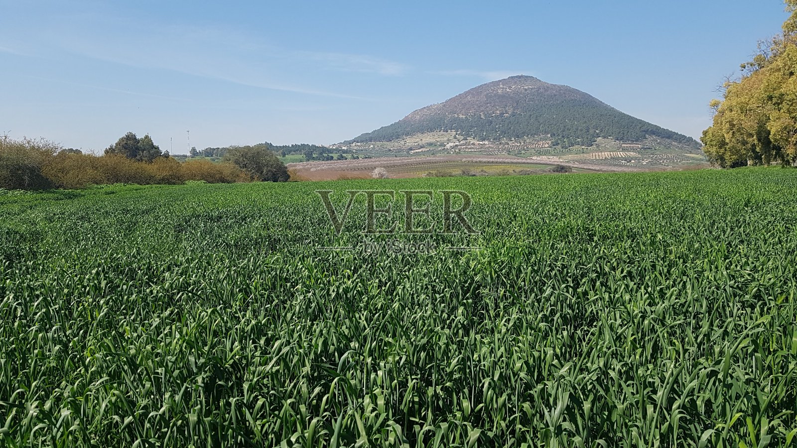 以色列北部塔沃尔山照片摄影图片