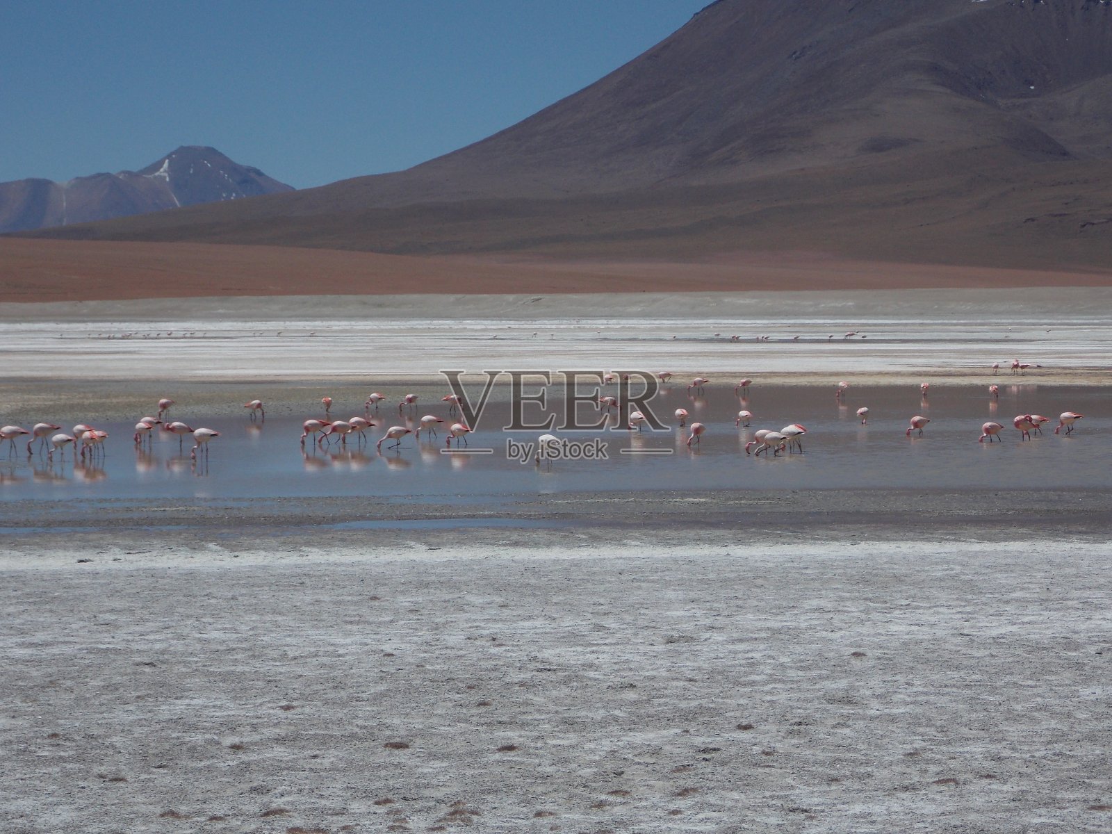 萨拉尔乌尤尼沙漠 - 玻利维亚照片摄影图片