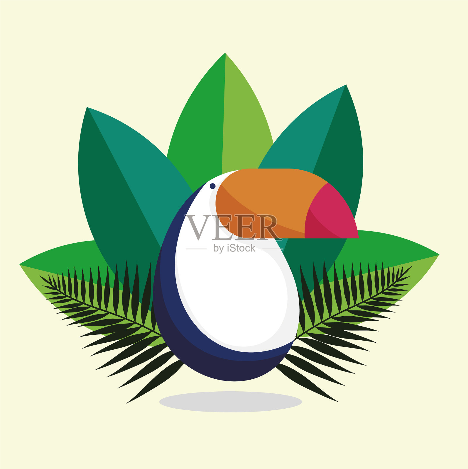 巨嘴鸟鸟植物插画图片素材