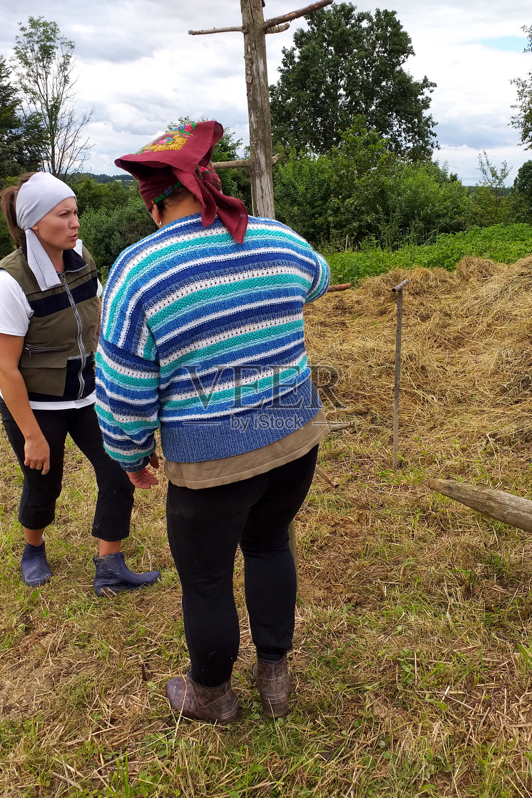 在晒干草的季节，两个村妇在地里干活，准备一个木支架，把干草插进地里晾干。照片摄影图片