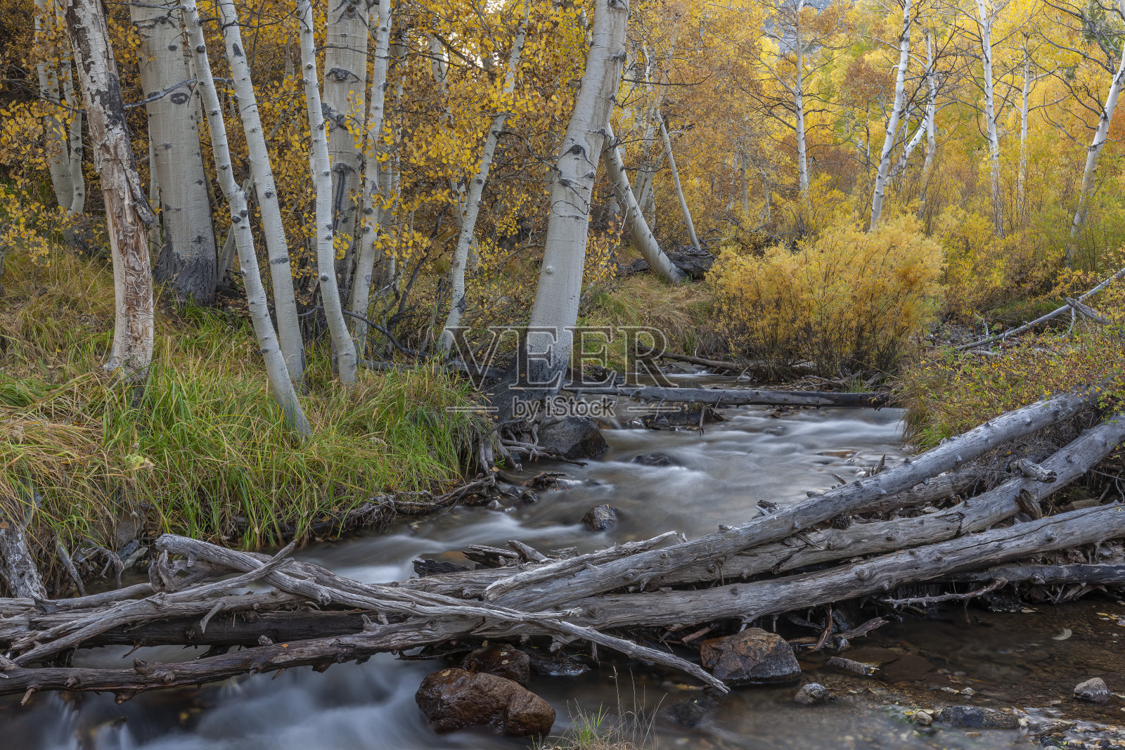 帕克溪，福尔，安塞尔亚当斯荒野，加利福尼亚州照片摄影图片