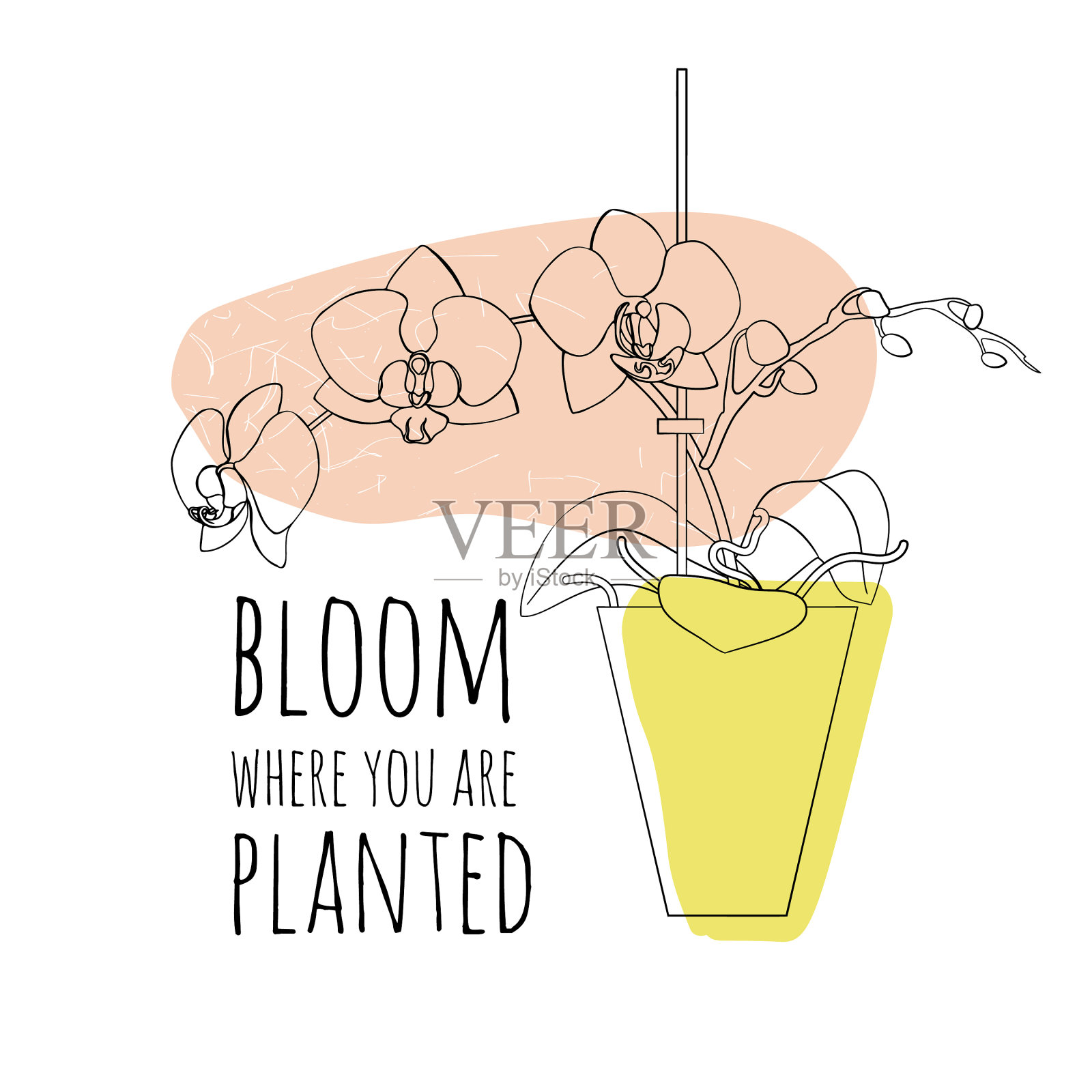 极简主义的波西米亚风格在那里绽放插画图片素材