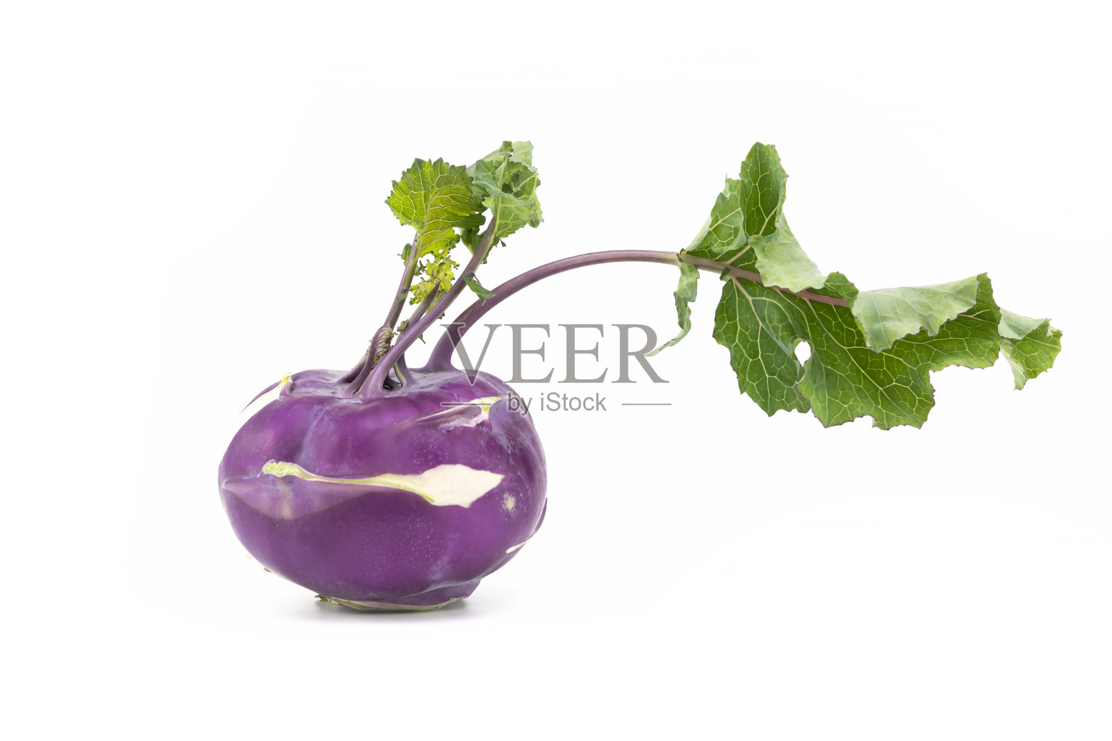紫皮绿叶的大头菜，孤立在白色背景上照片摄影图片