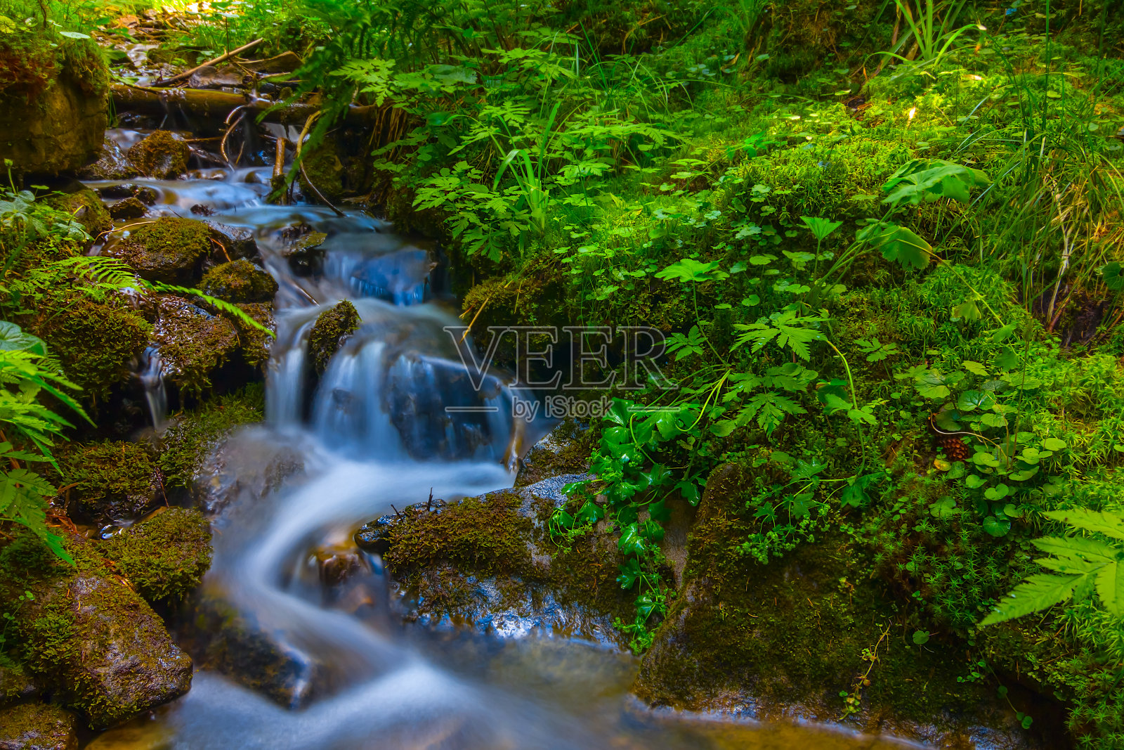 山间峡谷中流过石头的小溪照片摄影图片