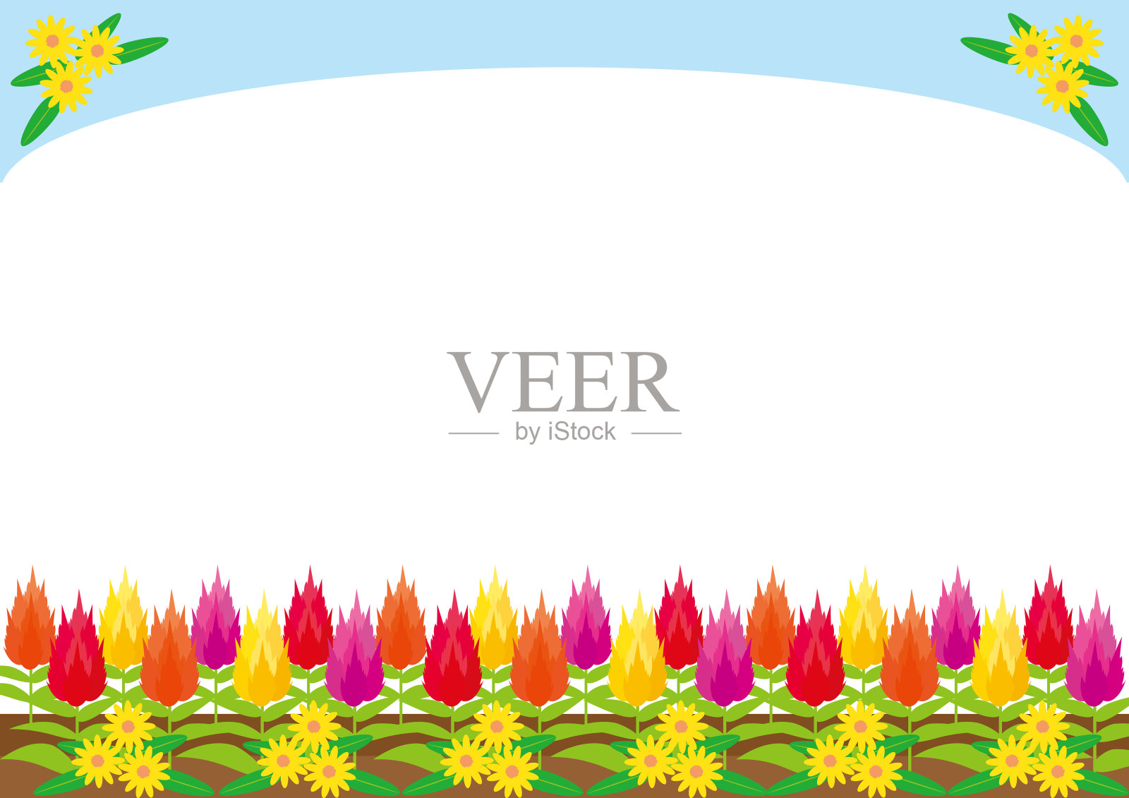 彩色羽毛鸡冠和黄色桔梗花背景插画图片素材