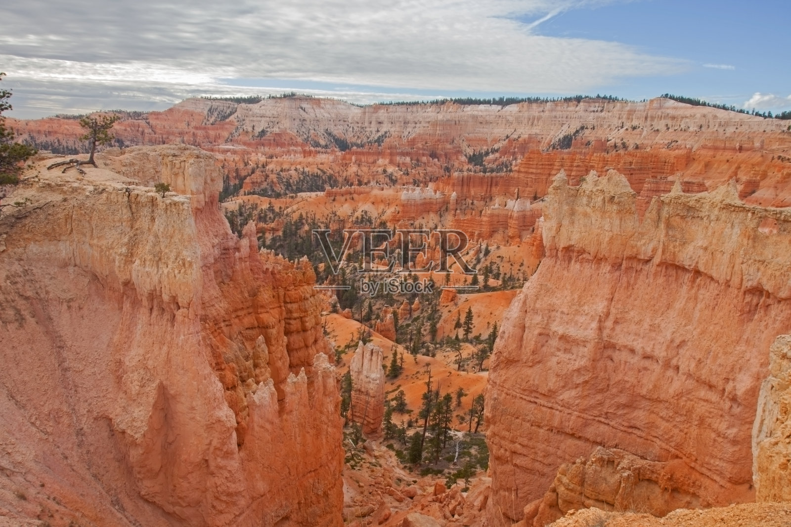 布赖斯峡谷2442照片摄影图片