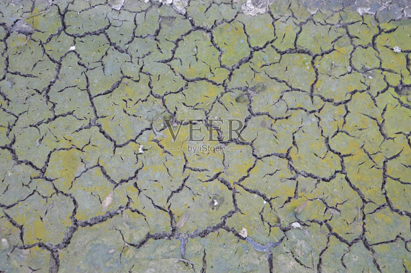 干燥开裂的地面纹理照片摄影图片