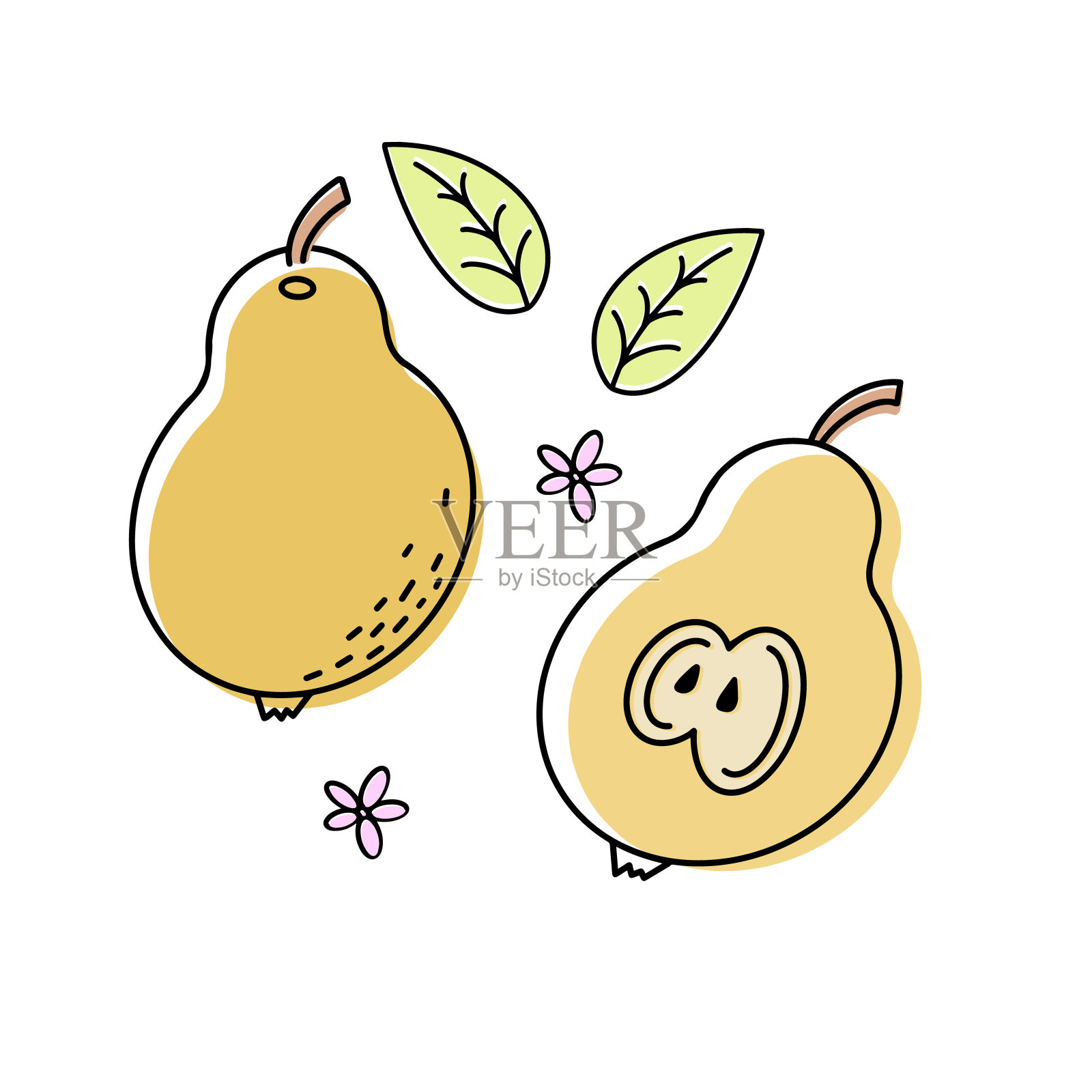 整个热带水果，一半，去皮和绿色的叶子孤立在白色的背景。插画图片素材