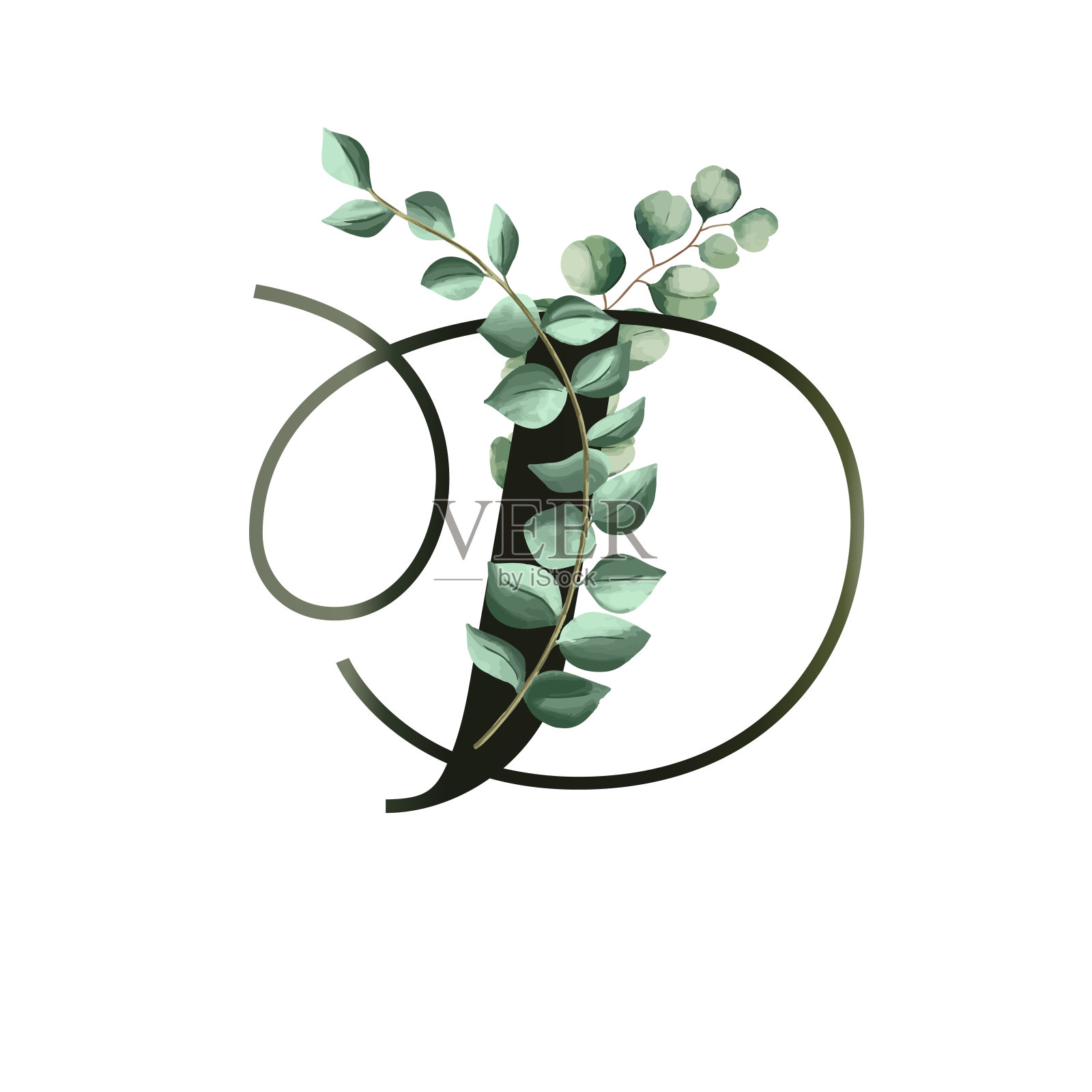 向量插图桉树叶子。花的字母表。插画图片素材