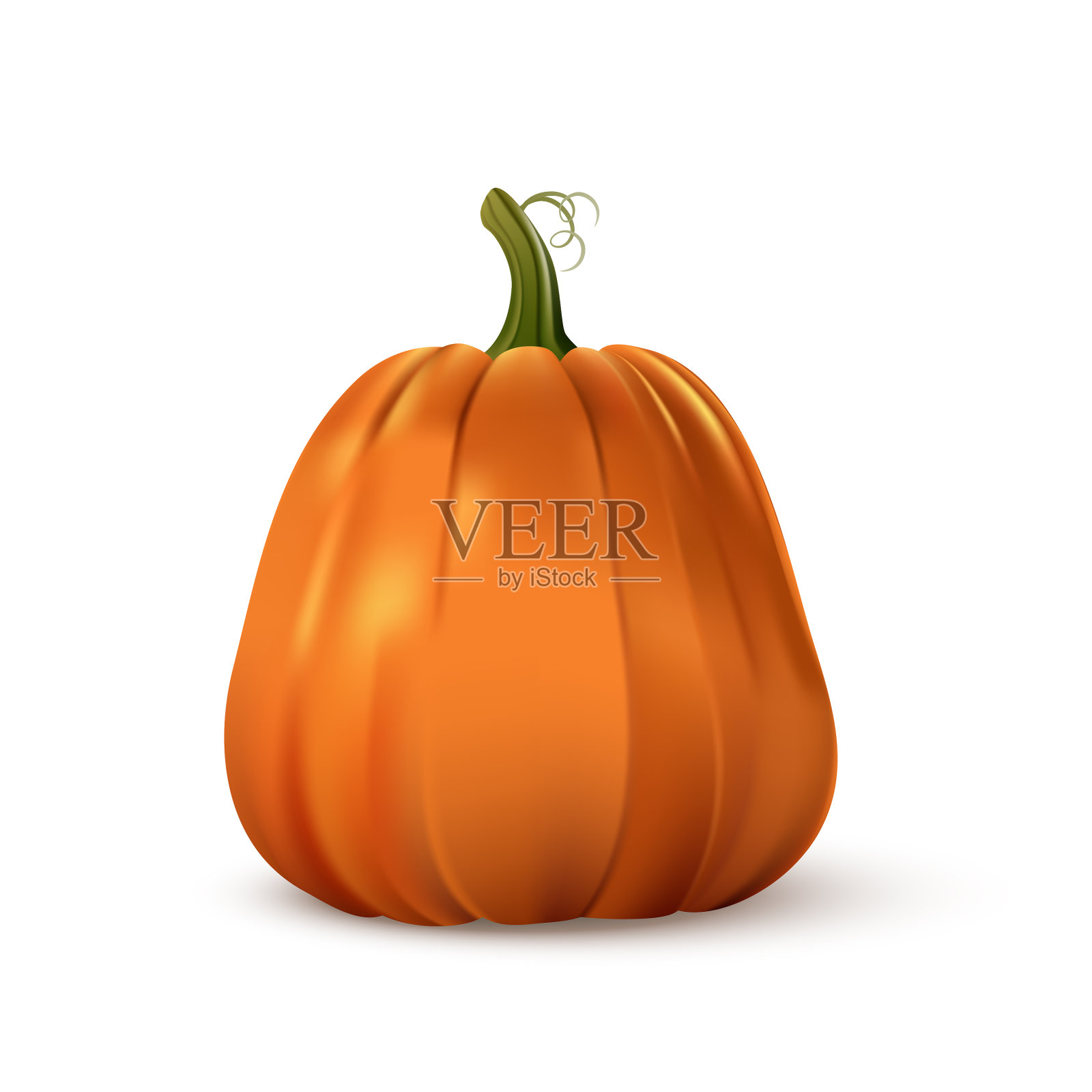 万圣节橙南瓜孤立传统设计元素图片