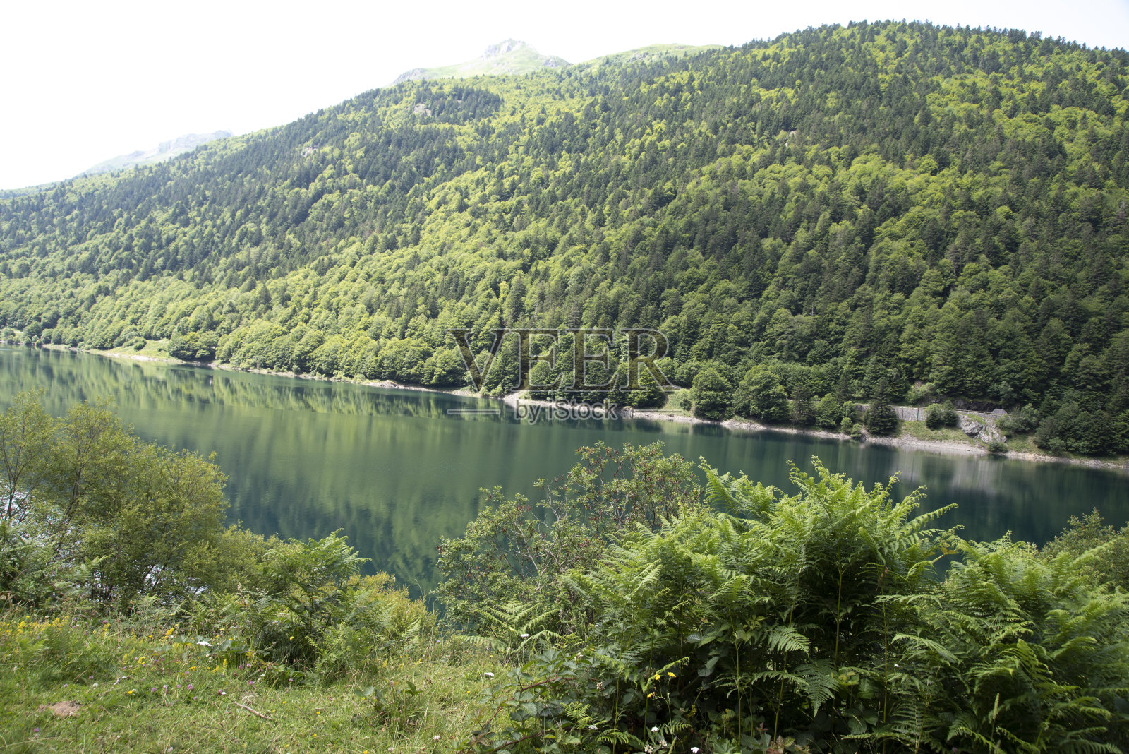山脉，山谷，河流，法国和西班牙之间的自然照片摄影图片