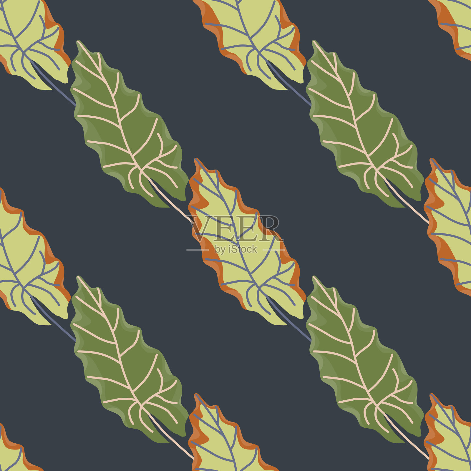 叶无缝模式与有机叶插画图片素材