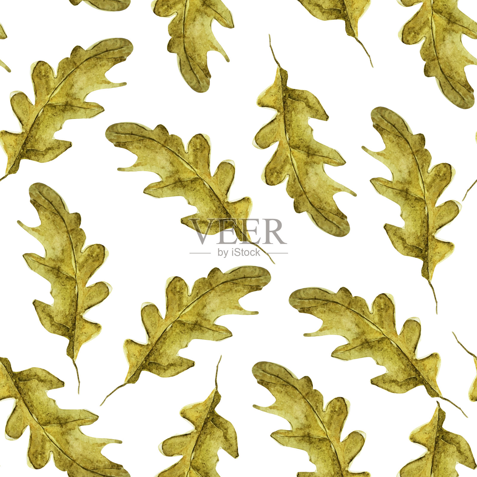 橡树叶水彩无缝模式。插画图片素材
