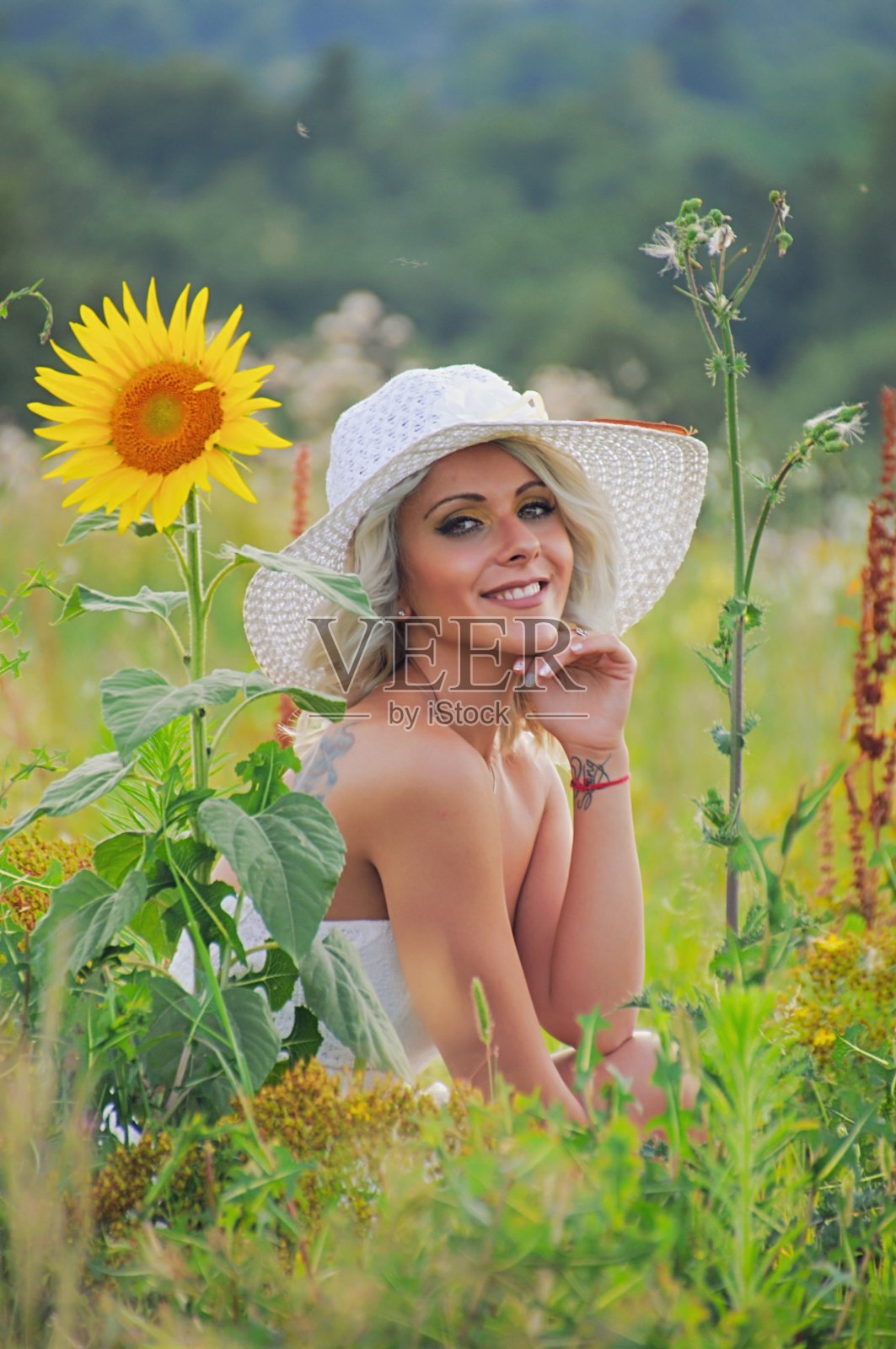 勃朗黛作为模型照片摄影图片