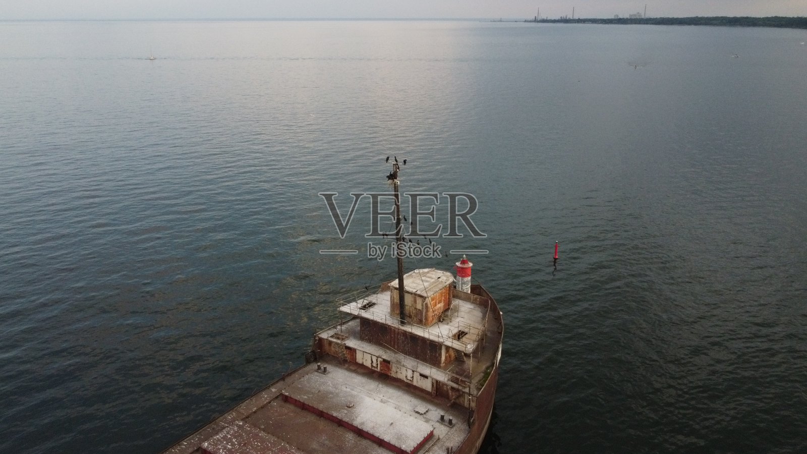 被候鸟占领的废弃船只，在信贷河口照片摄影图片