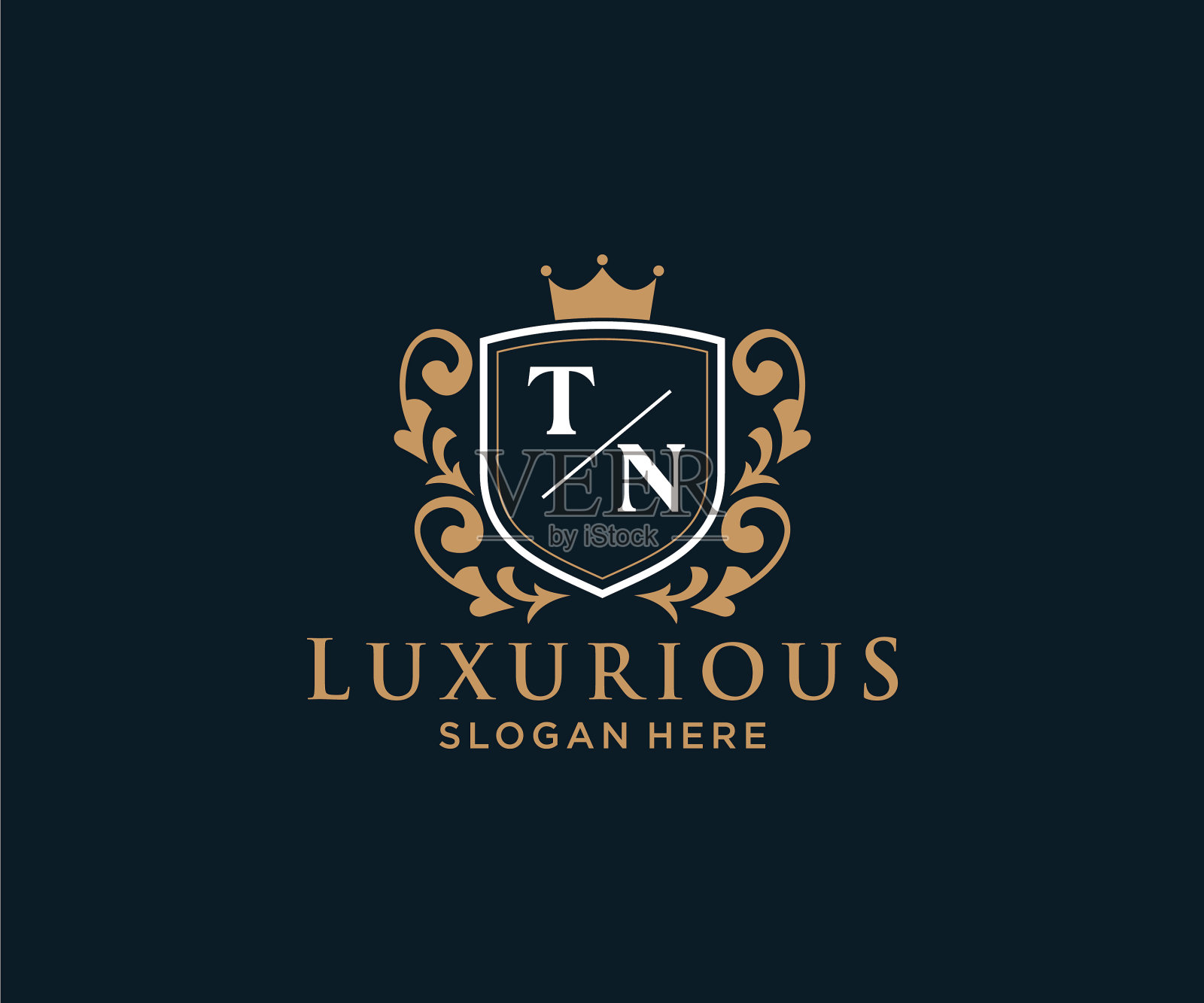 首tn字母皇家奢侈标志模板插画图片素材