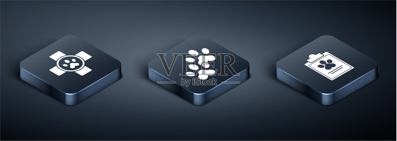 设置等距兽医诊所符号剪贴板图标素材