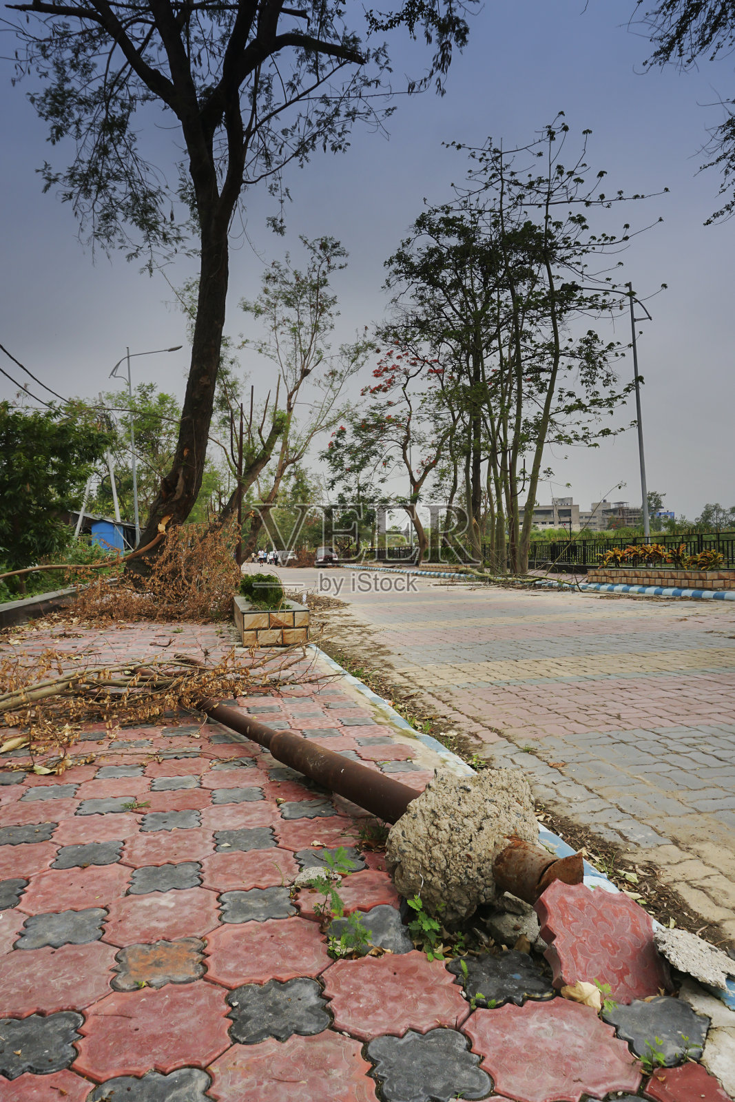 超级气旋“安潘”在印度西孟加拉邦造成破坏照片摄影图片