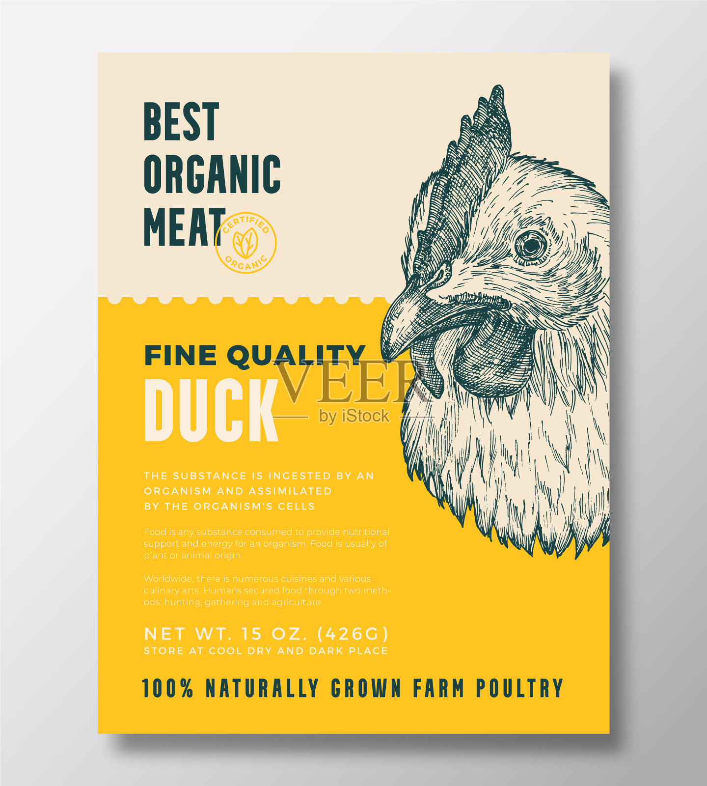 禽鸟肖像有机肉抽象插画图片素材