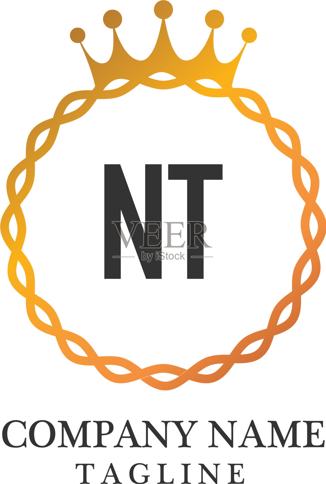 首字母nt优雅的标志设计模板插画图片素材