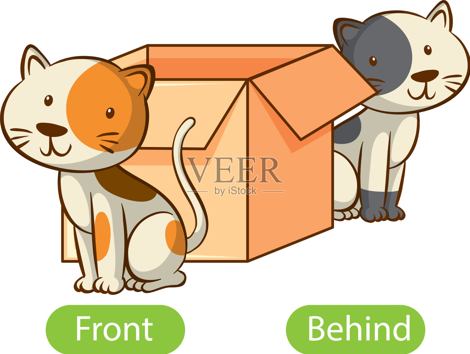 与前面和后面相反的单词插画图片素材