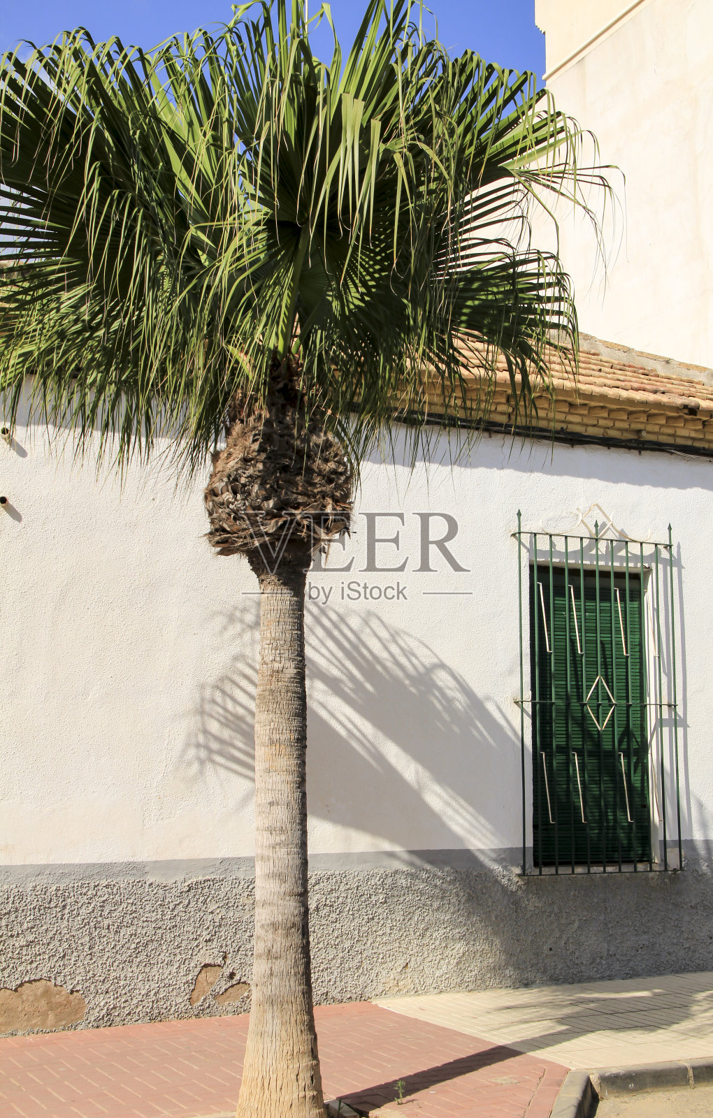 穆尔西亚的街道上有漂亮的Alcazares的房子照片摄影图片