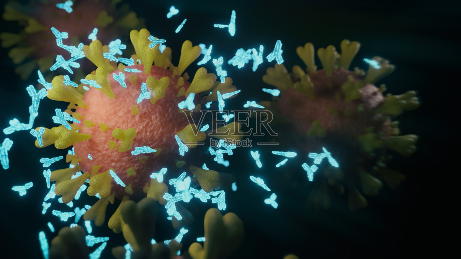 新型冠状病毒抗体照片摄影图片