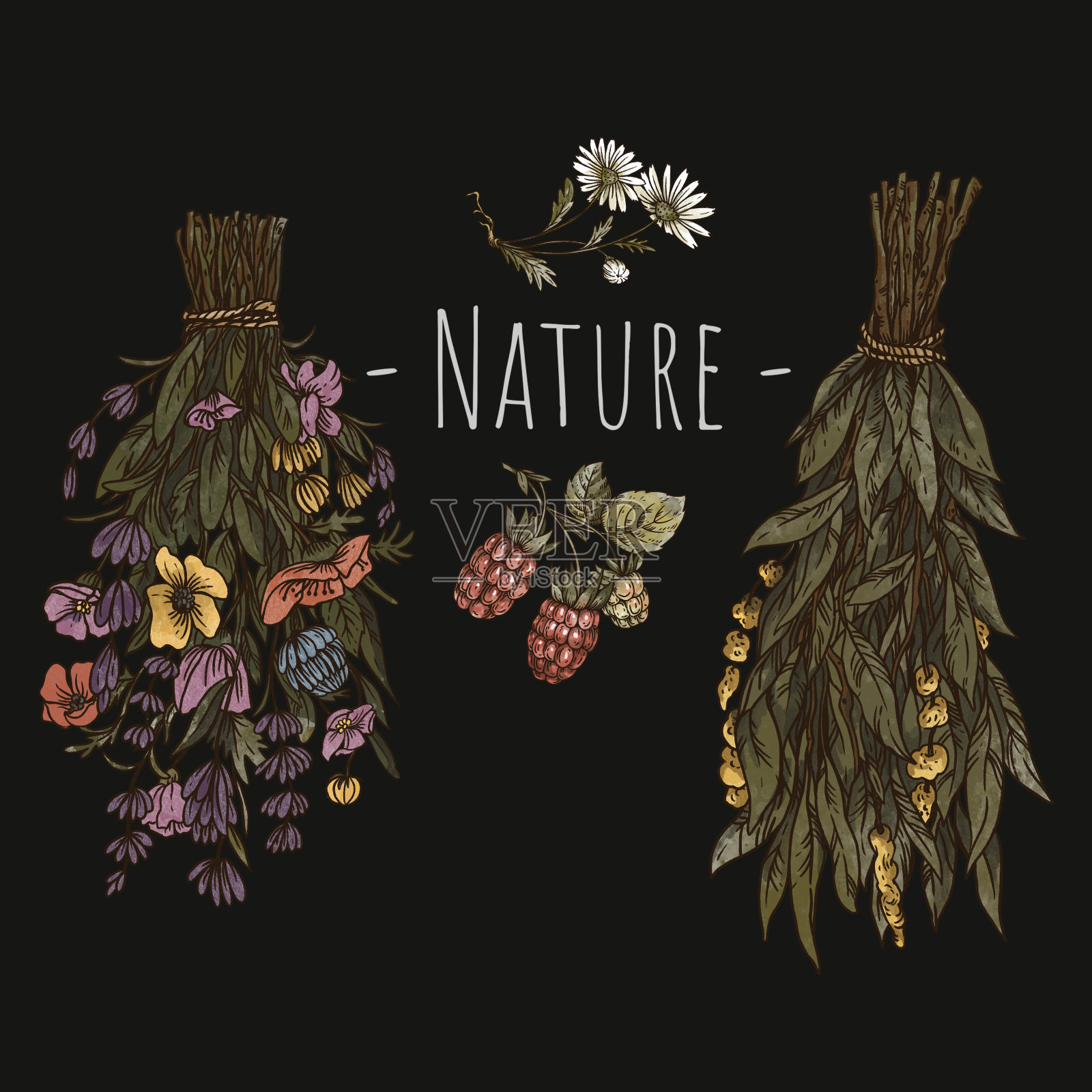 古老的绿色女巫花卉贺卡。干花巫术植物学插图。林地的宝藏插画图片素材