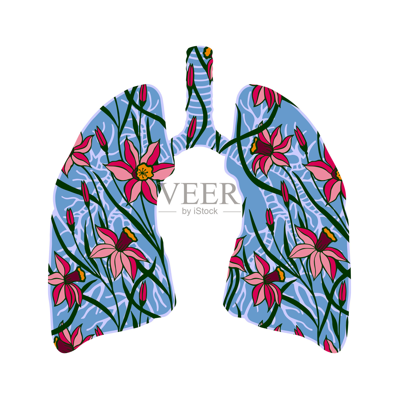 人体肺的细节。解剖学。花。Eps10矢量图例。手绘。插画图片素材
