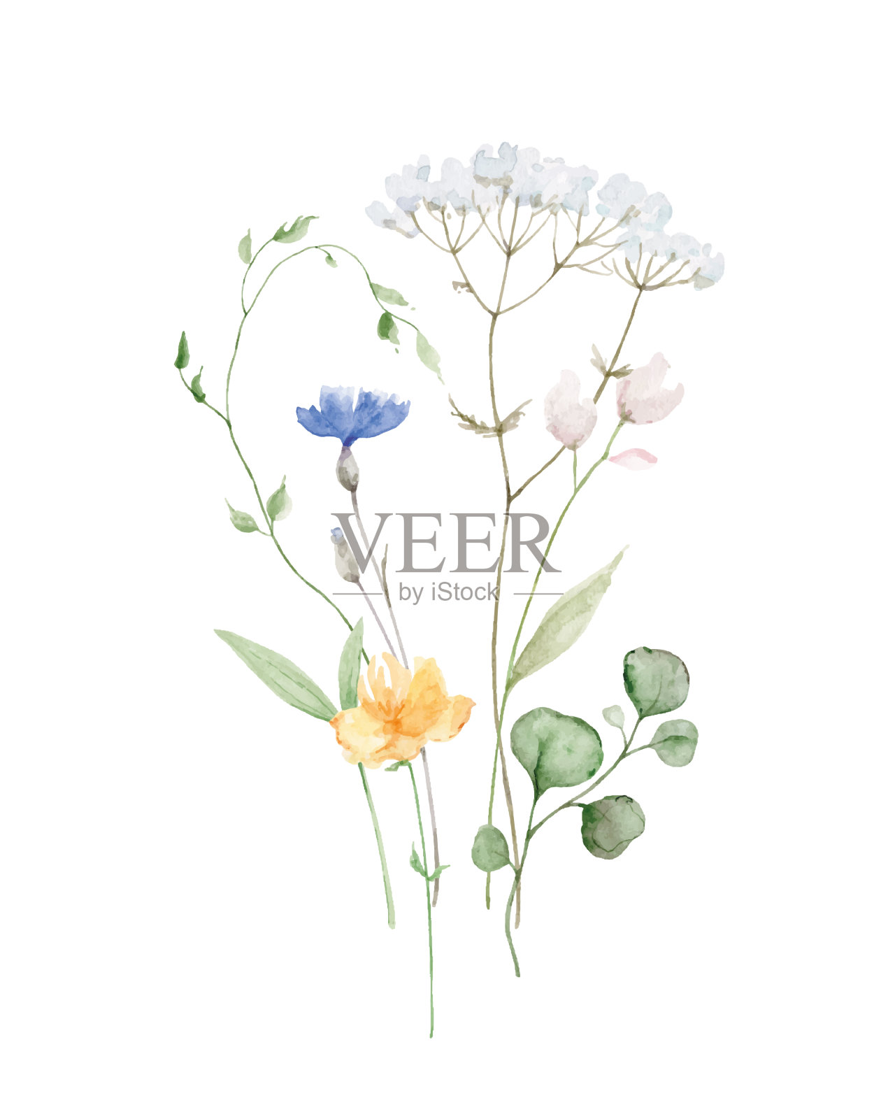 水彩安排与野花设计元素图片