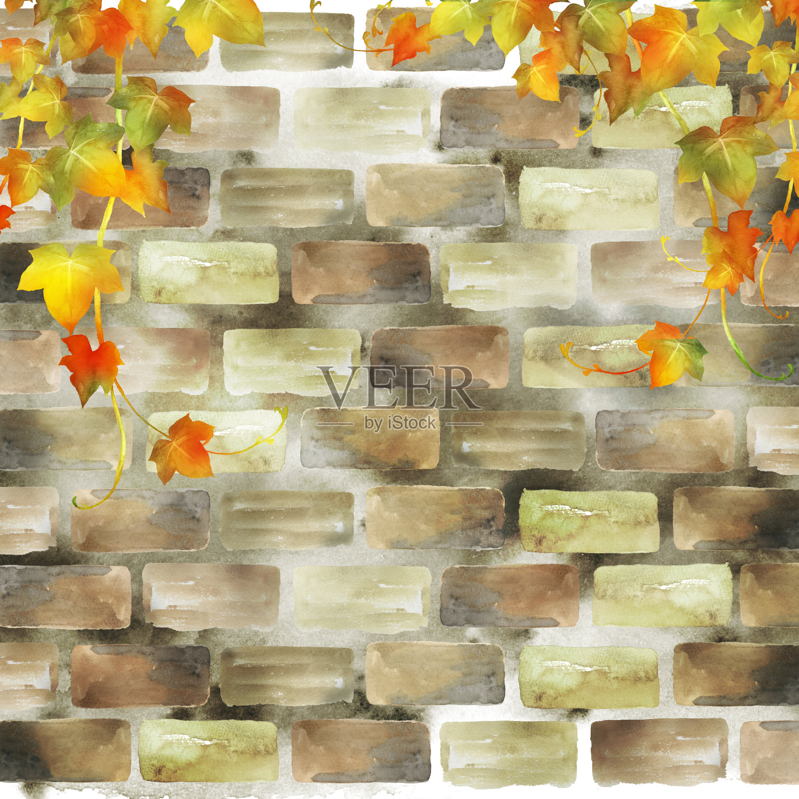 水彩秋藤叶与砖墙插画图片素材