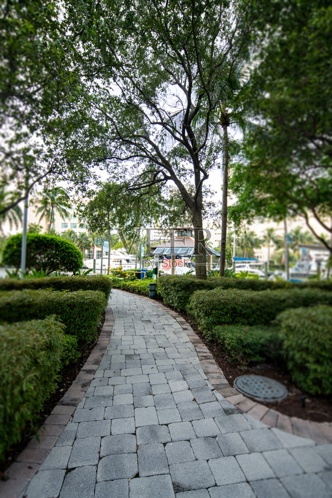 美国佛罗里达州劳德代尔堡拉斯奥拉斯河畔的自然小径照片摄影图片