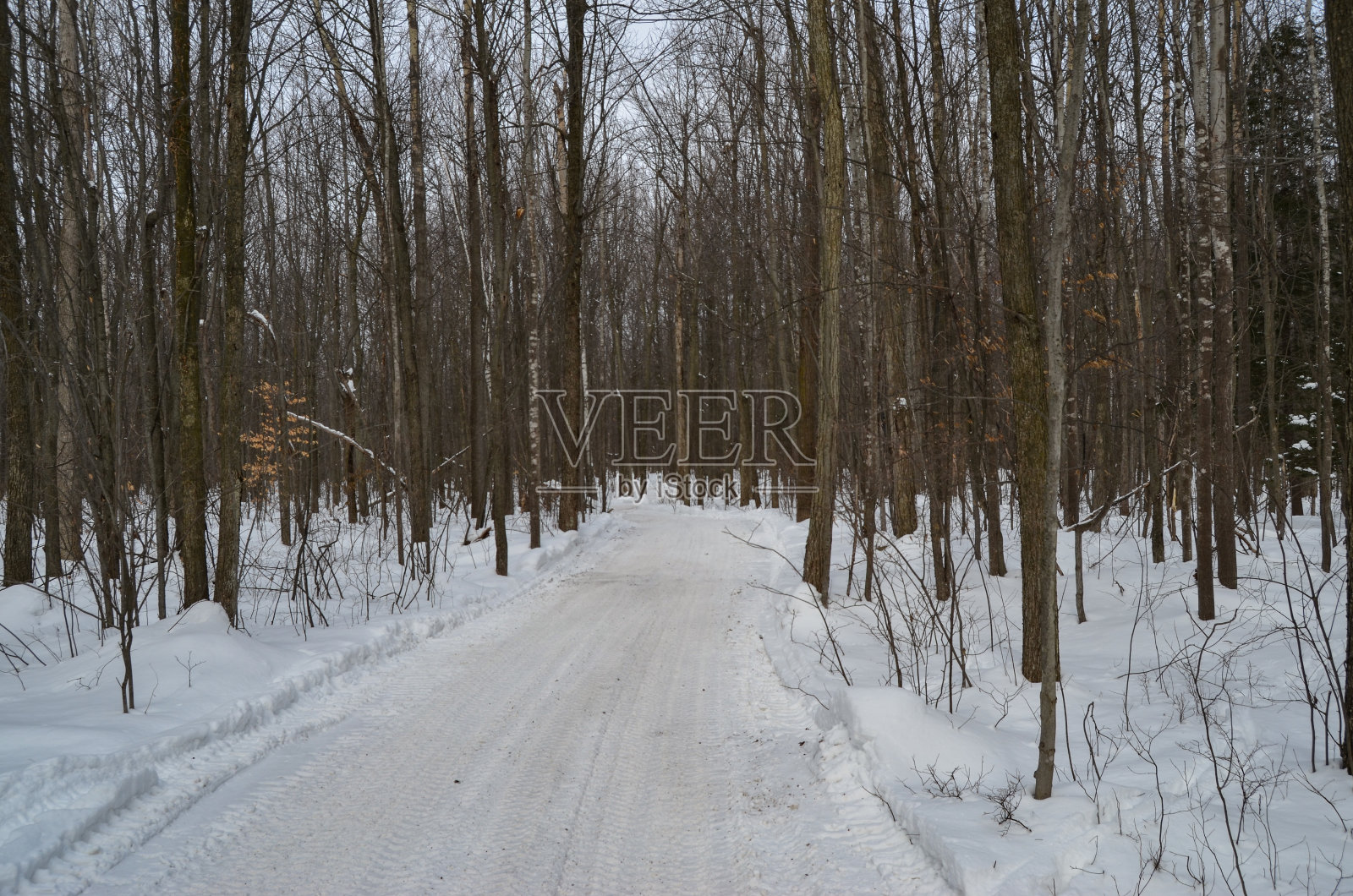 全地形车辆路线照片摄影图片