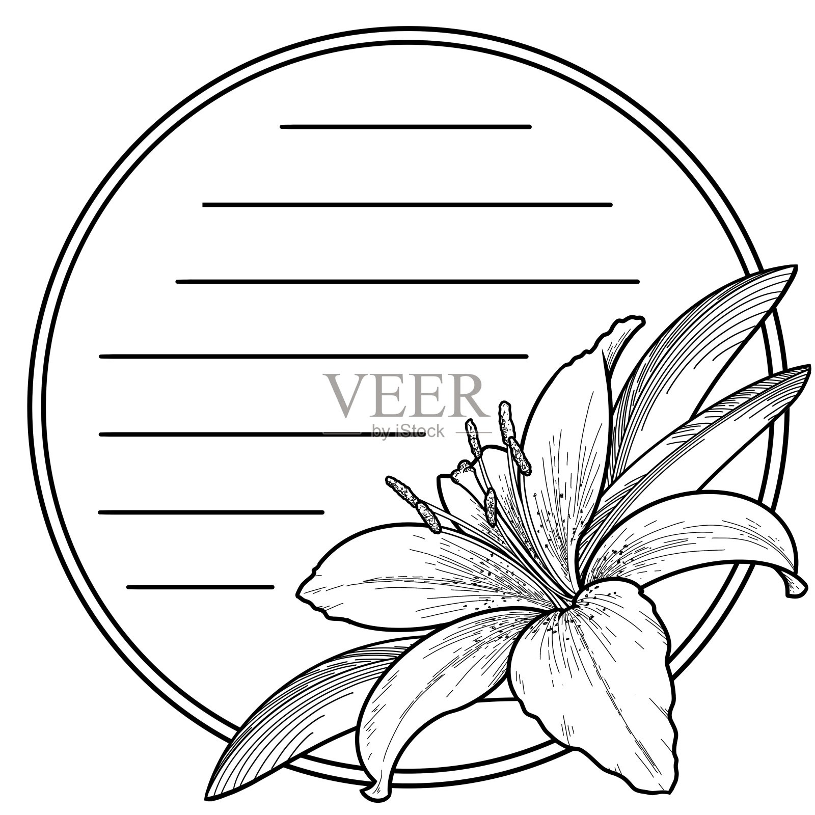 圆圈里的单色百合插画图片素材