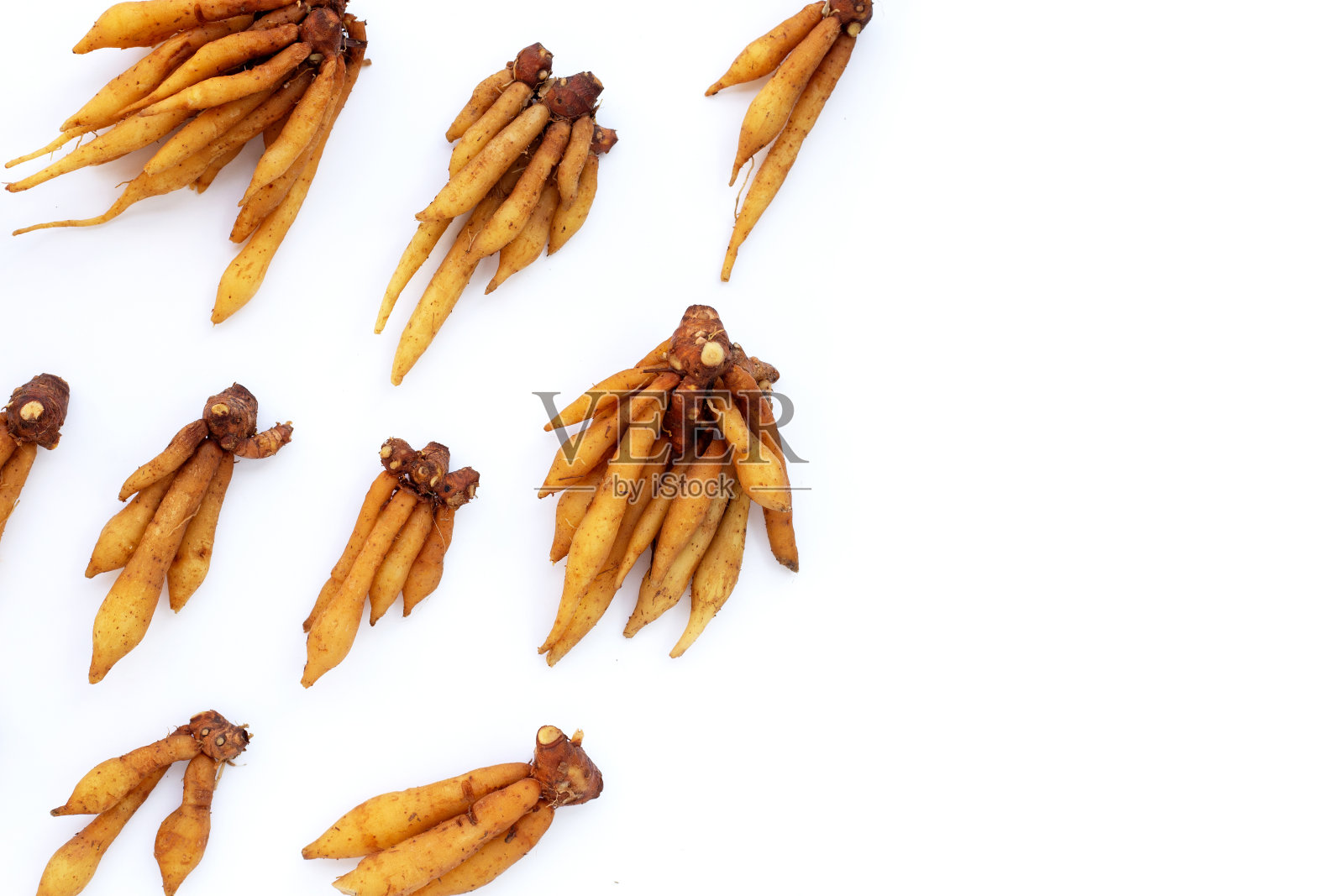 手指根在白色背景上。照片摄影图片