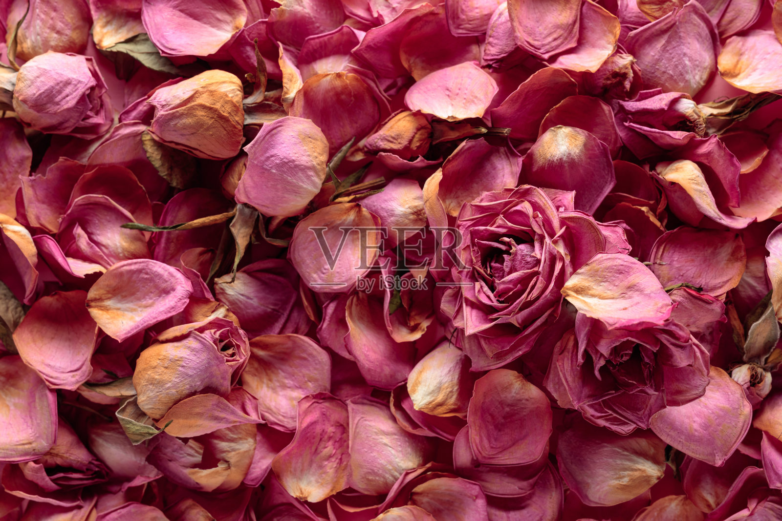 干燥的玫瑰花、花瓣和叶子。照片摄影图片