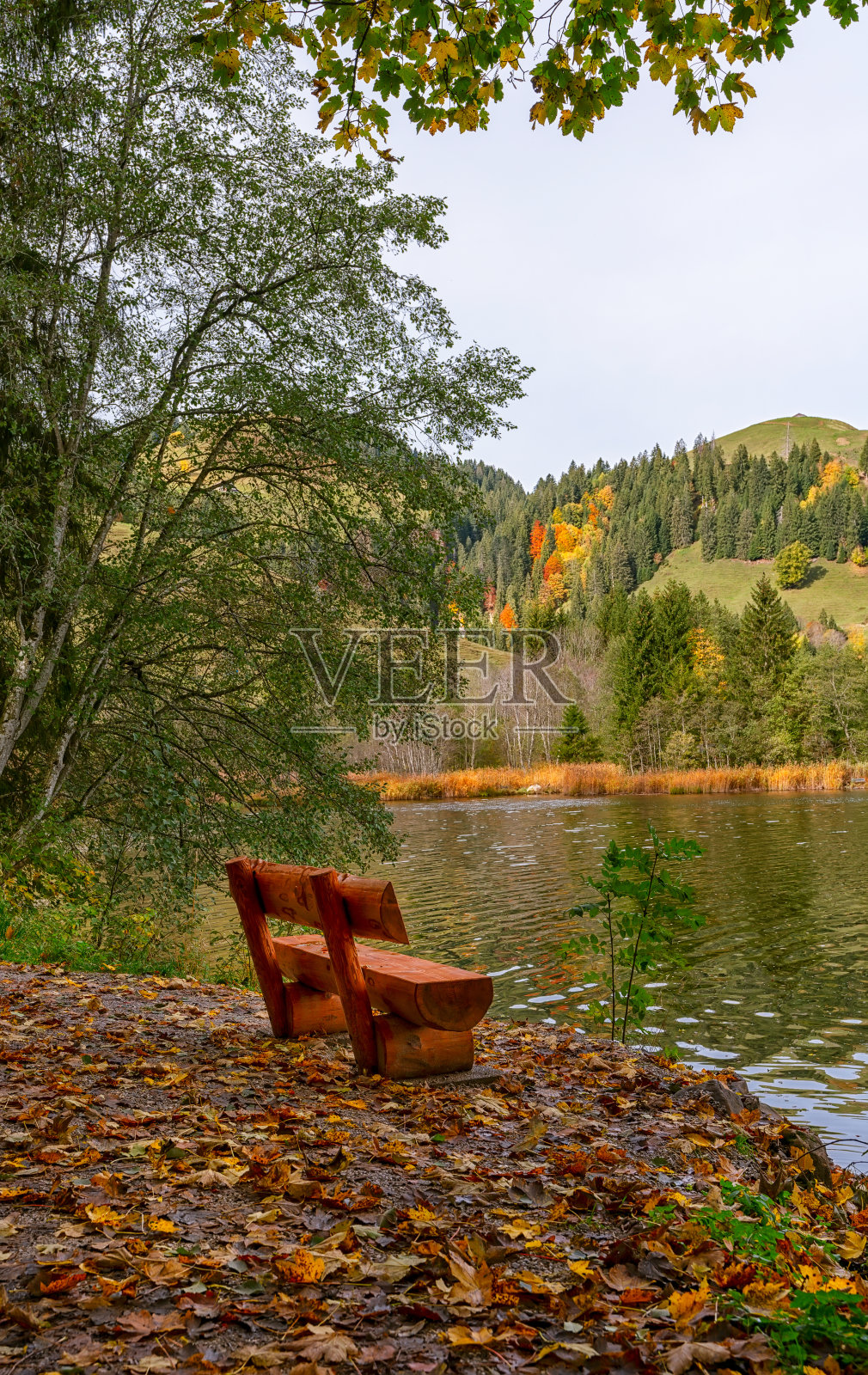 秋天，湖岸边的长椅照片摄影图片
