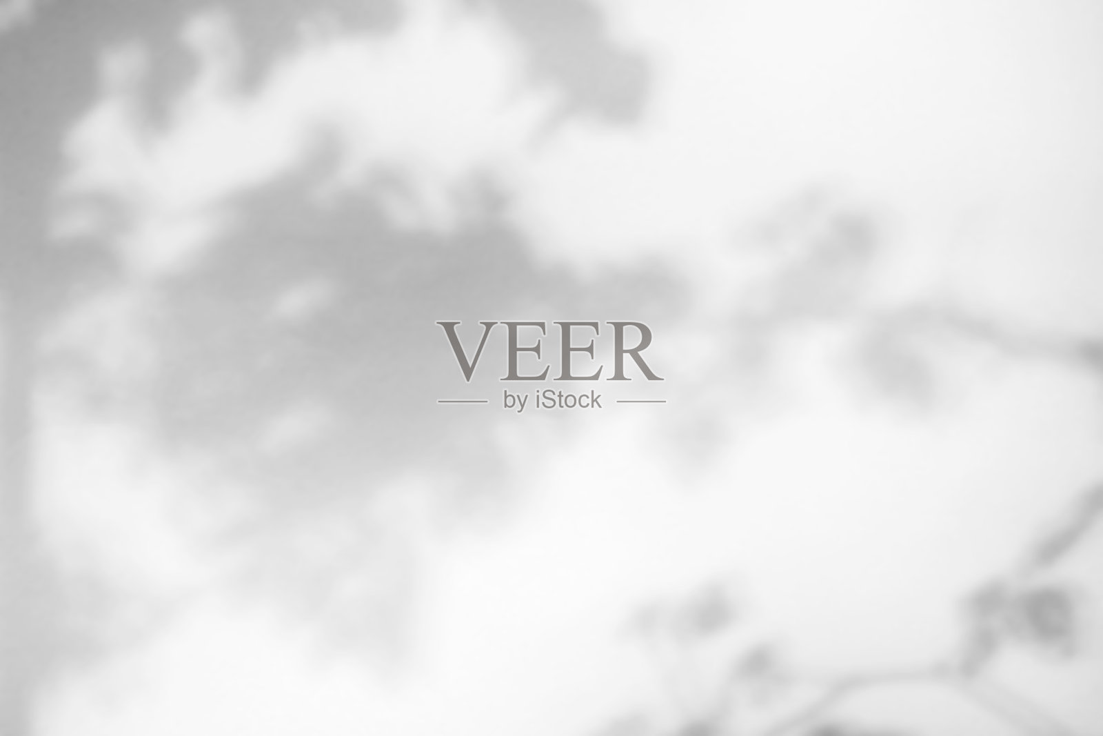 抽象的自然树叶阴影在白色的墙壁背景照片摄影图片