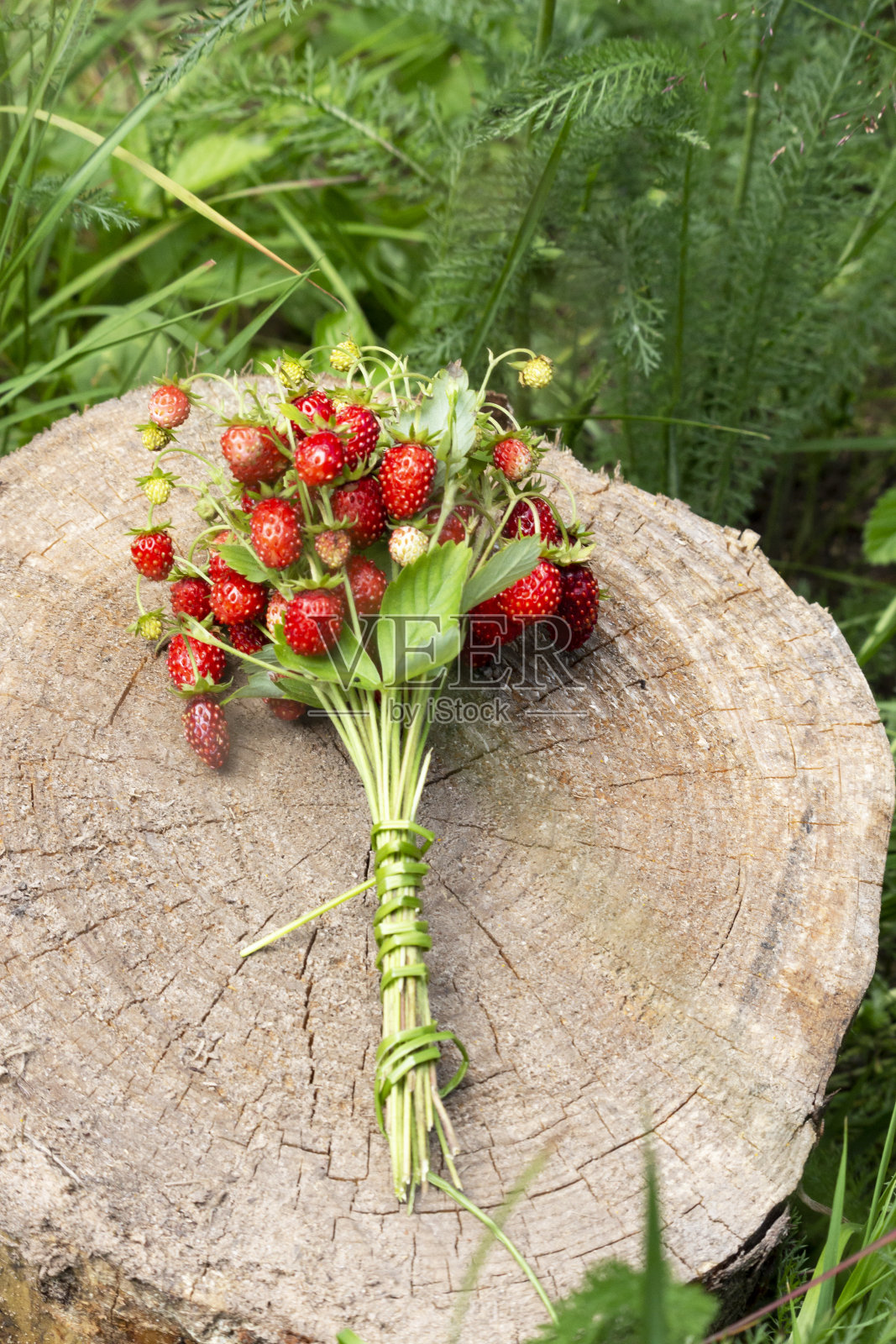草莓躺在森林里的树桩上。木制背景上的成熟草莓特写。草莓的花束照片摄影图片